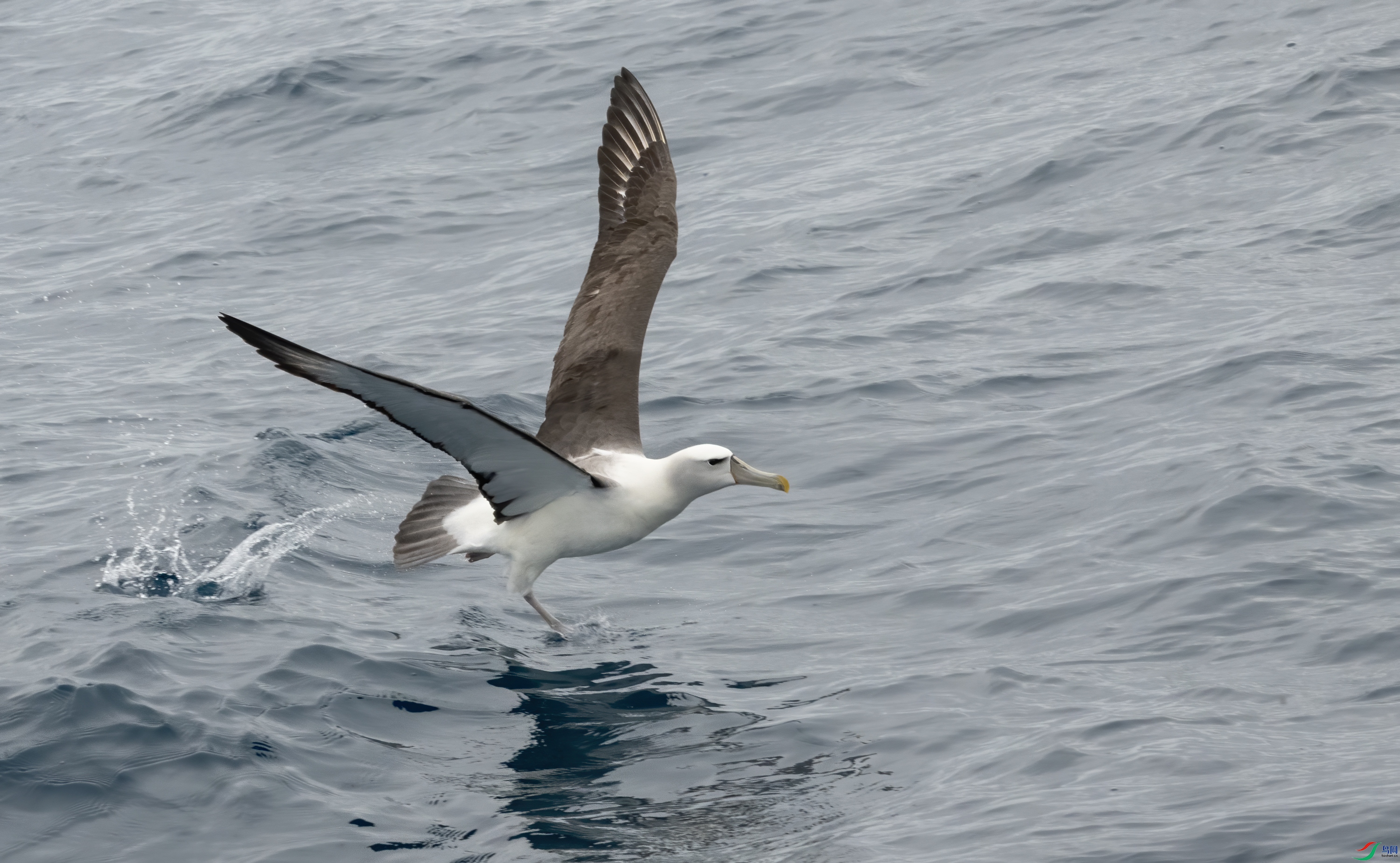 DSC_4608-11.jpg