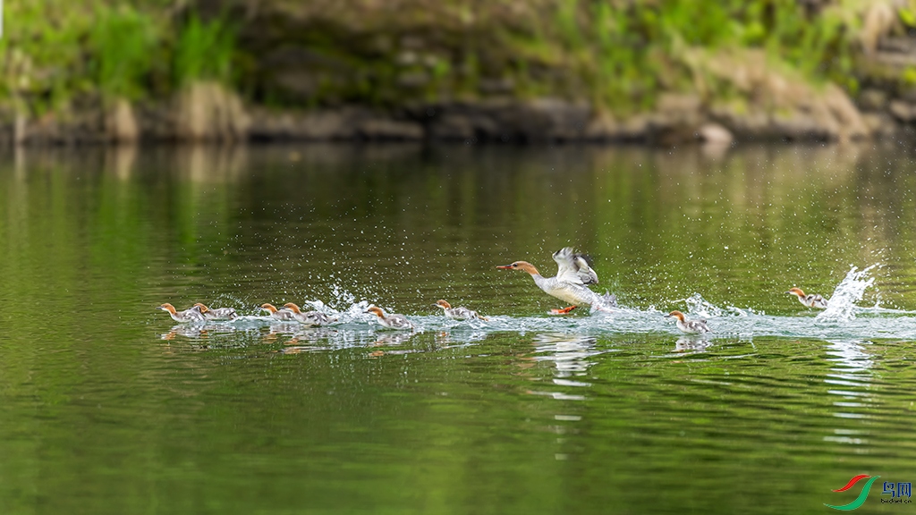 jlmjR230605 (1694)_DxO.jpg
