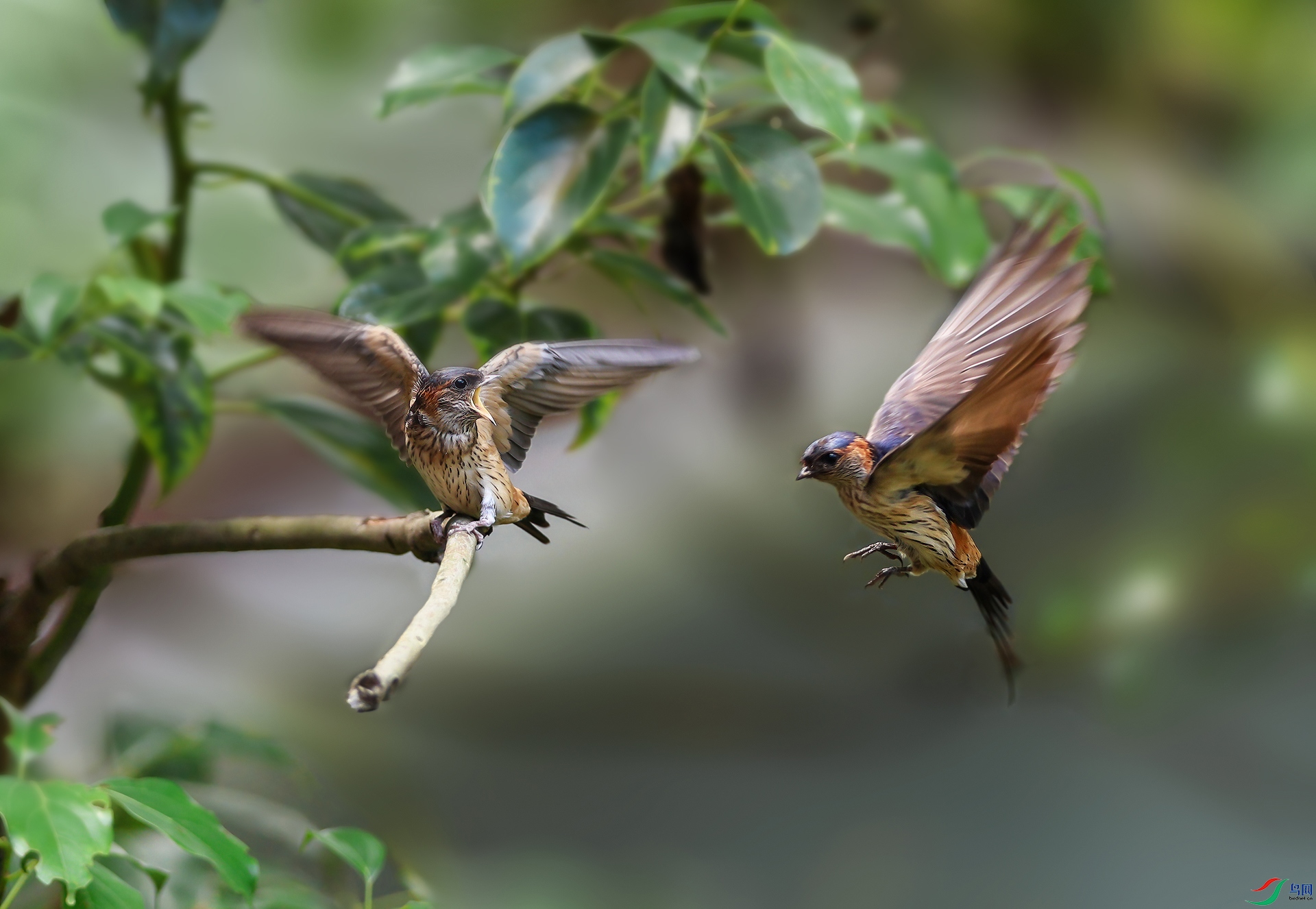 2M8A8451-����13.jpg