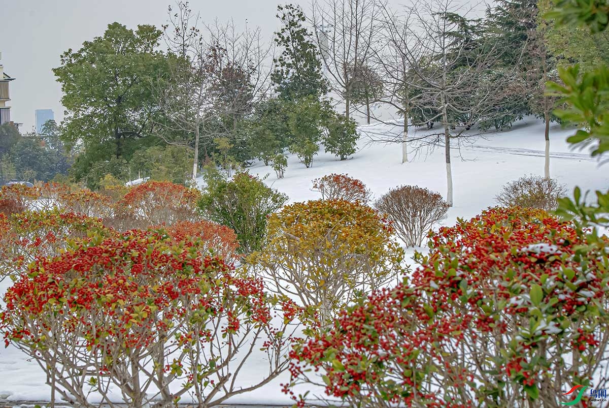 DSC_5814.jpg
