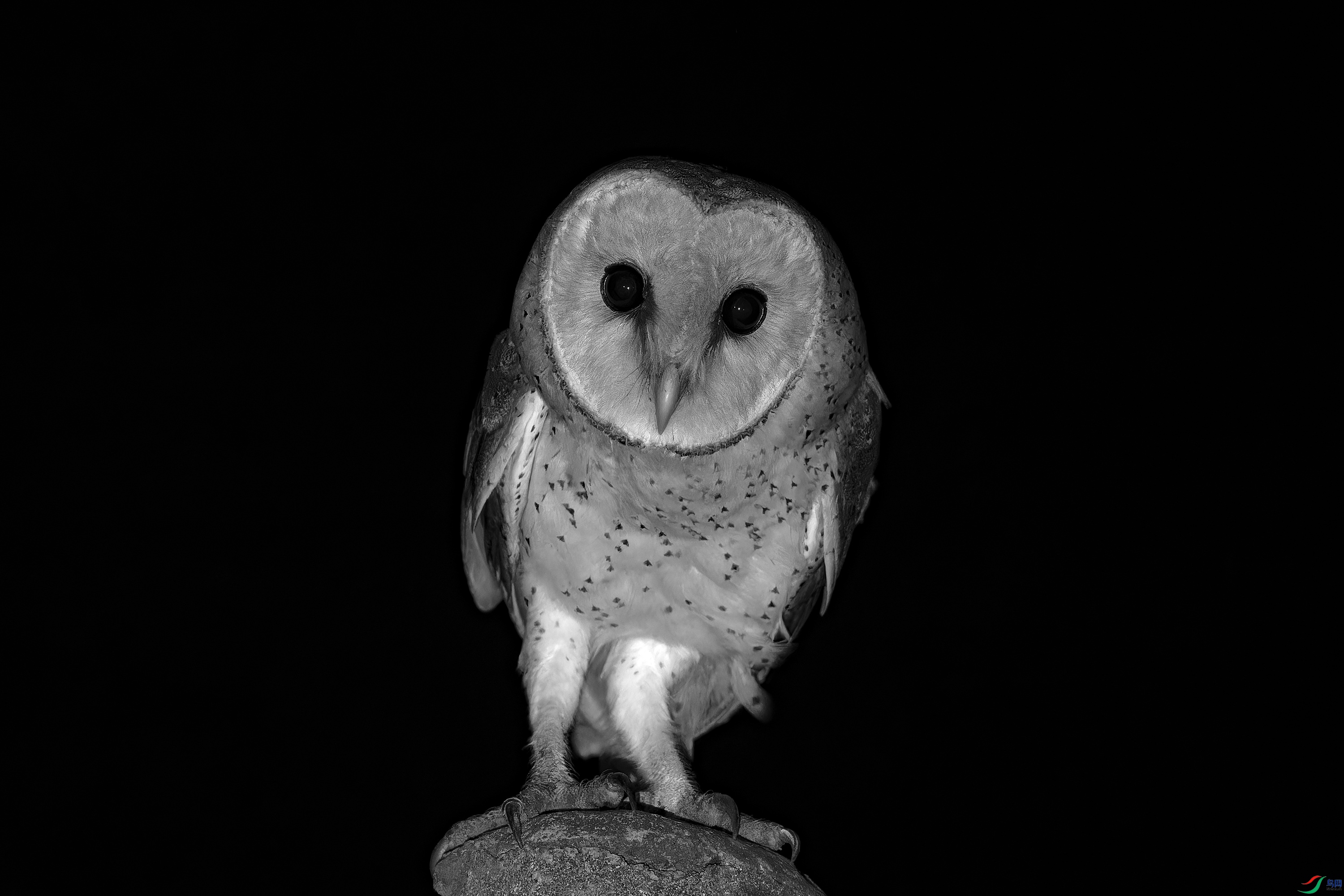 _DSC9565_DxO.jpg
