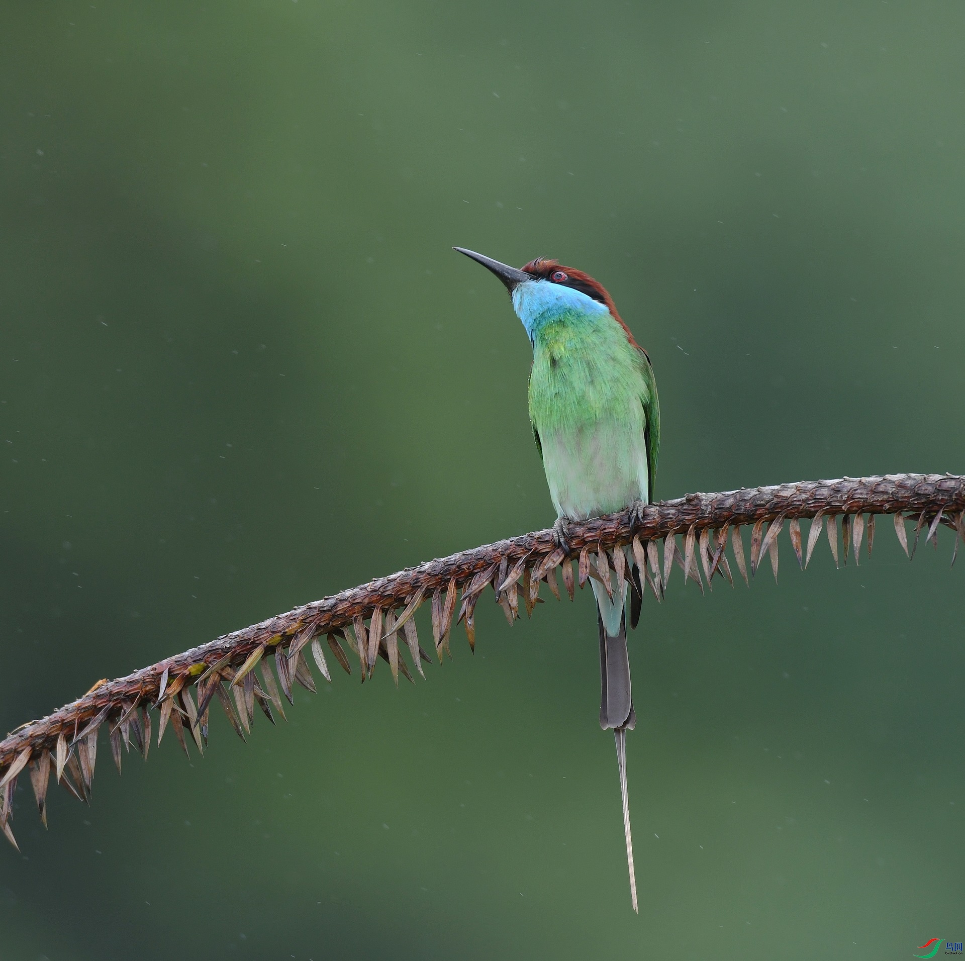 DSC_3826.jpg