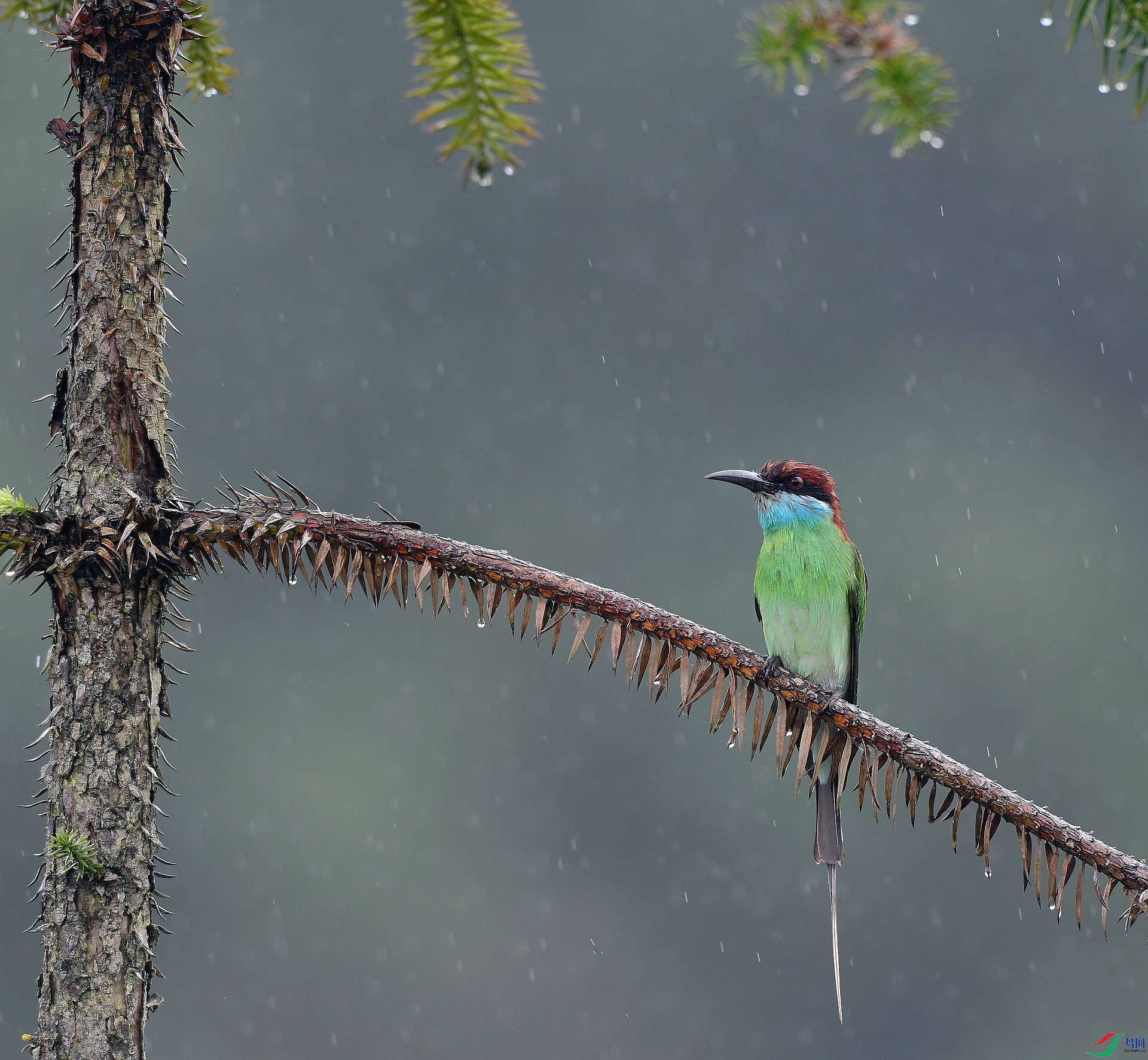 DSC_3416.jpg