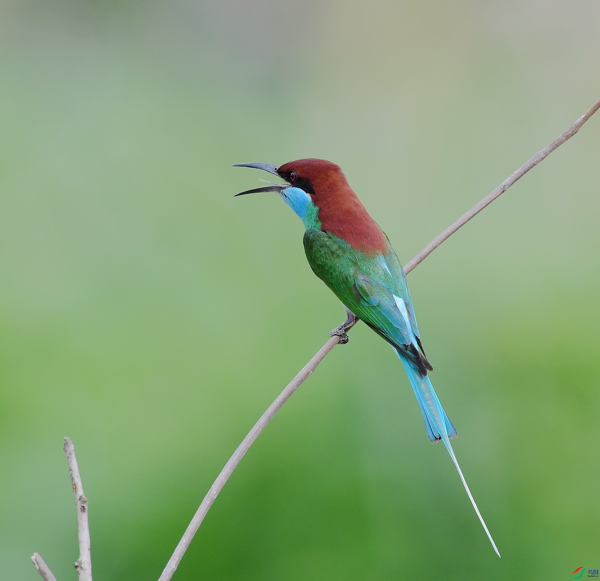 DSC_1639.jpg