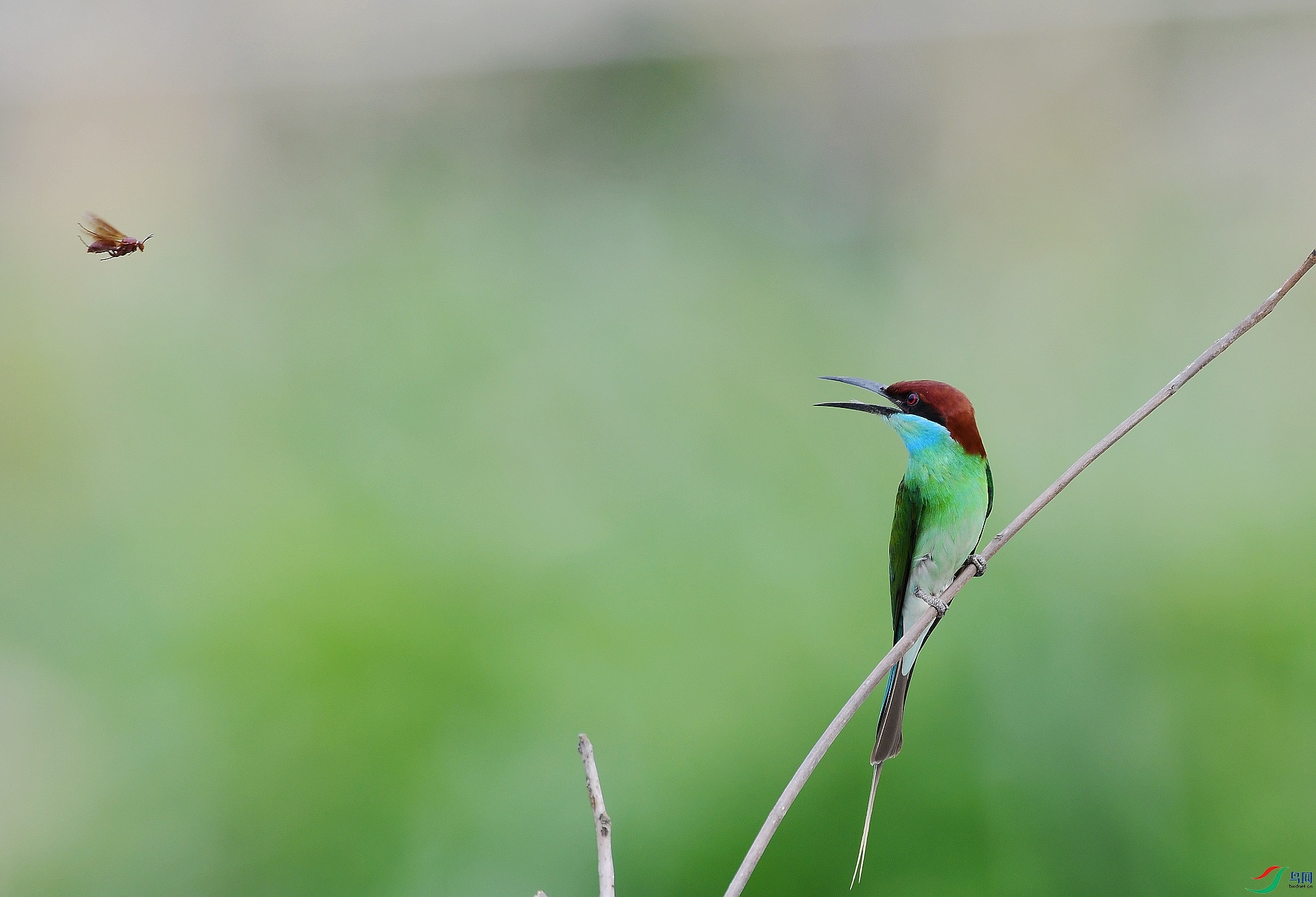 DSC_1644.jpg