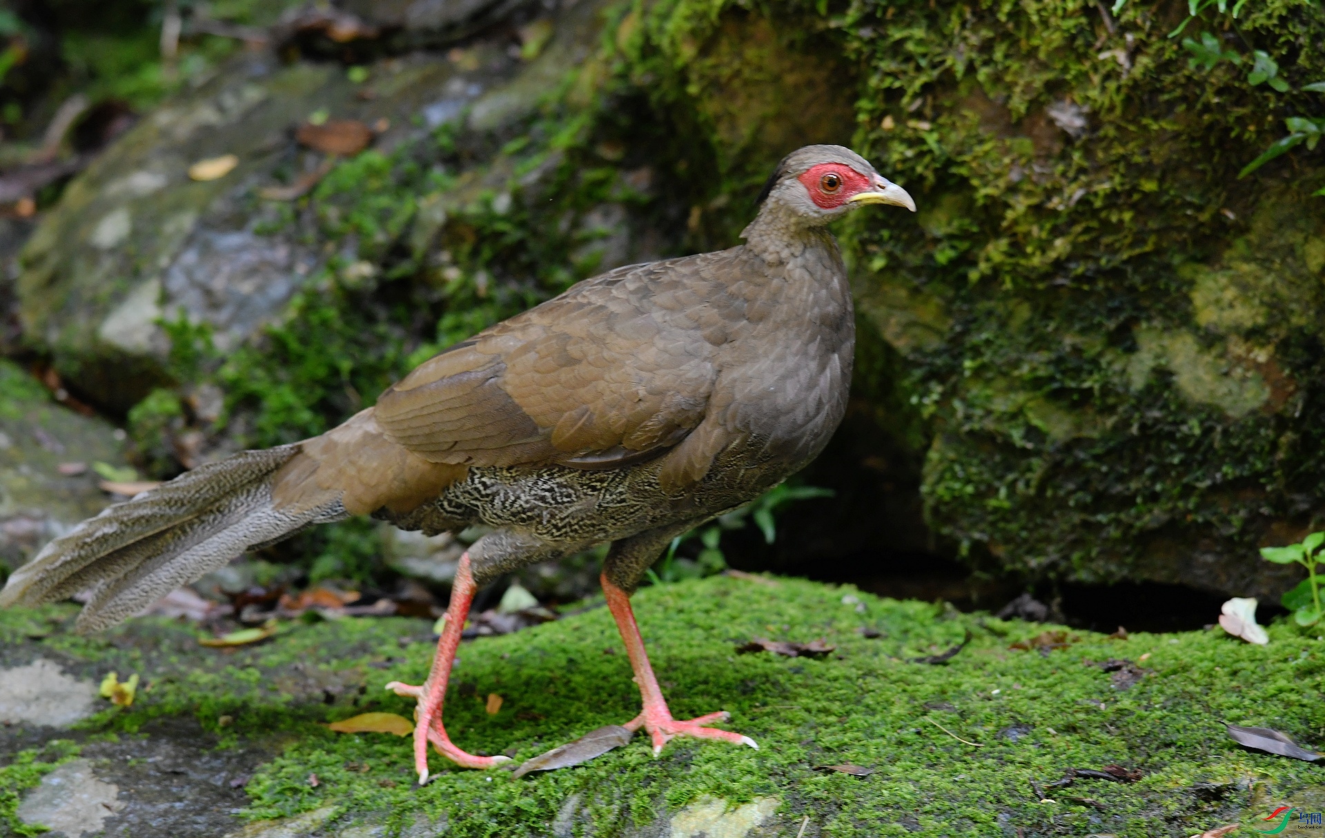 DSC_3120.jpg