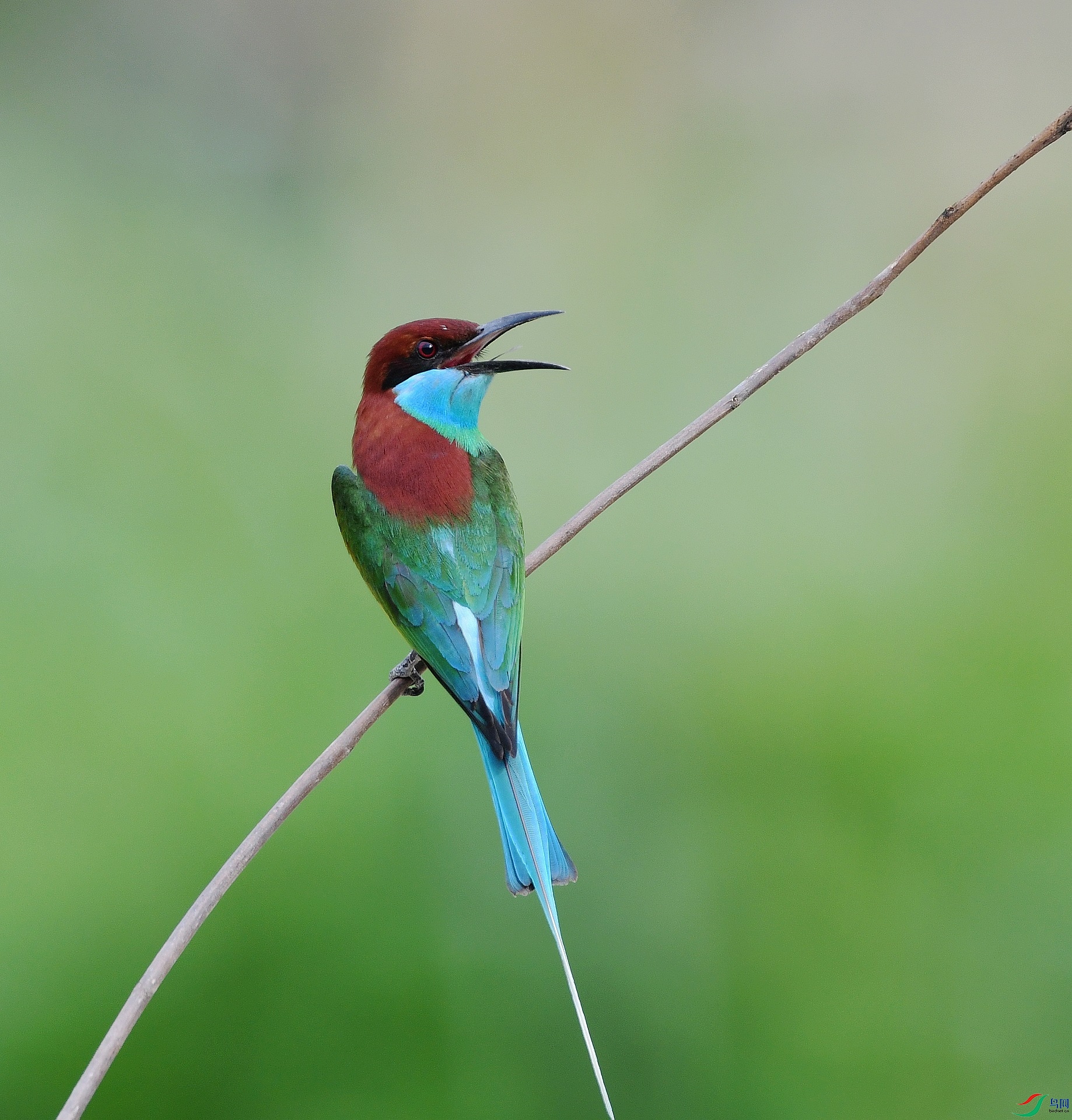 DSC_1637.jpg