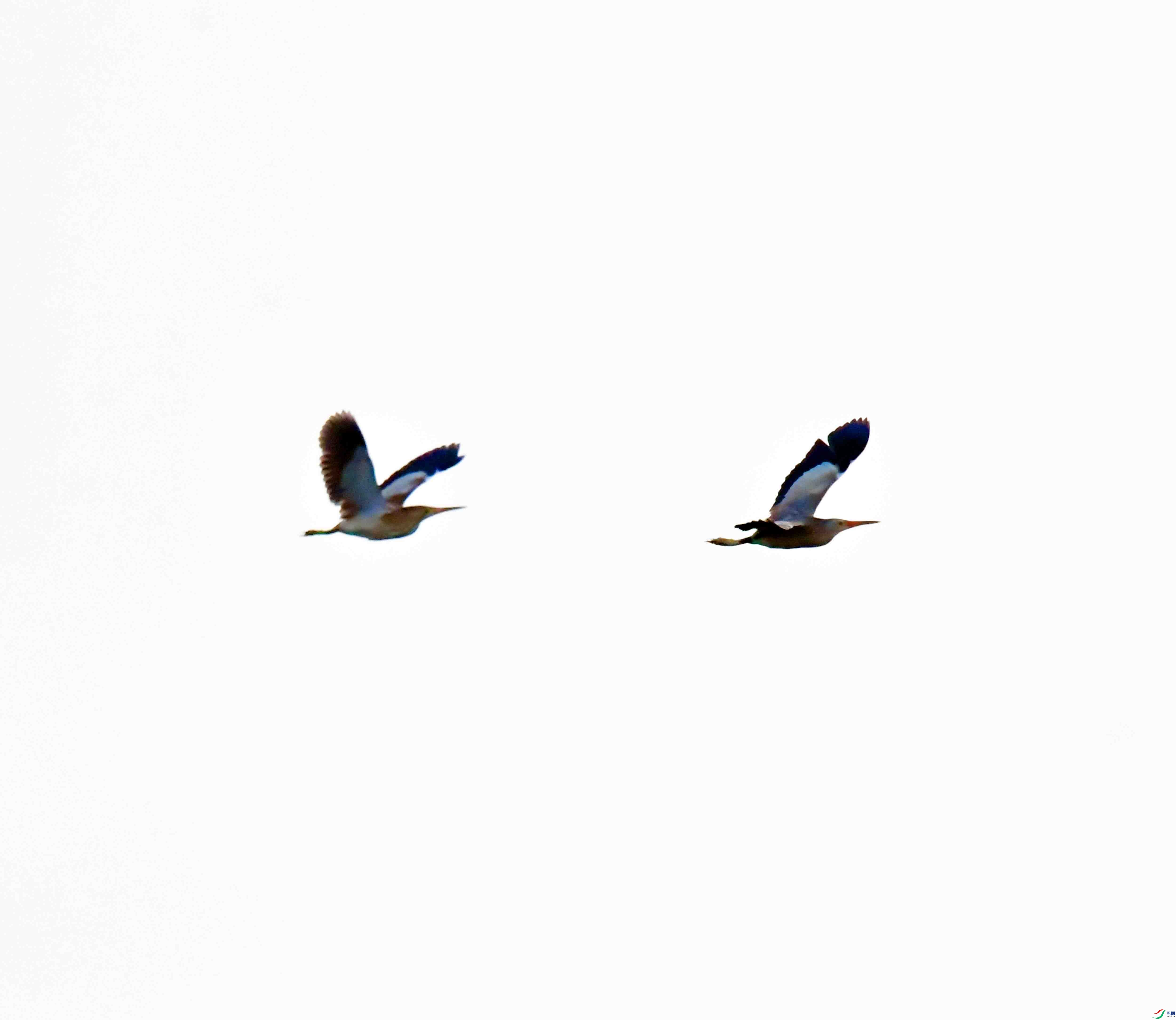 DSC_6514.JPG