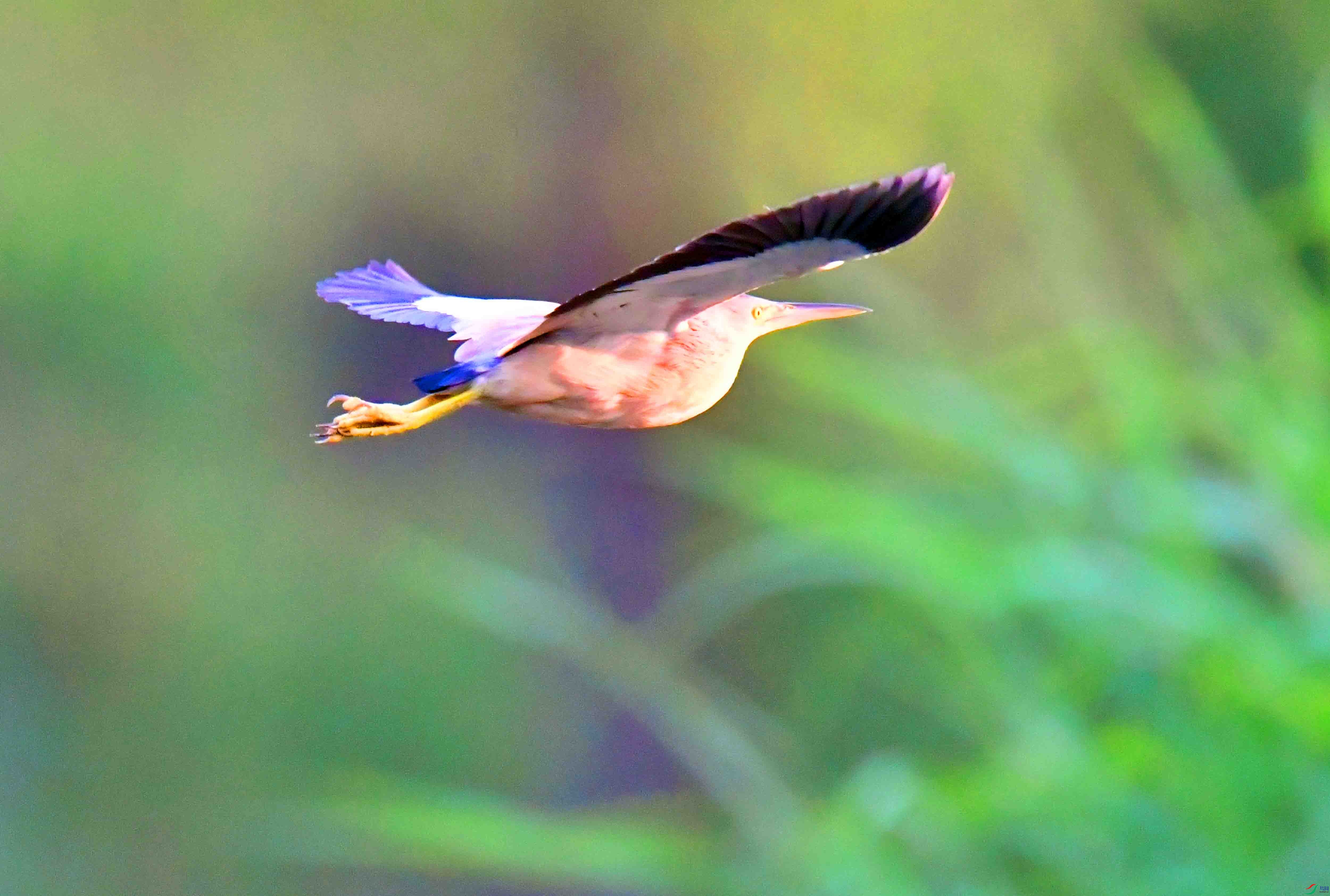 DSC_6539.JPG