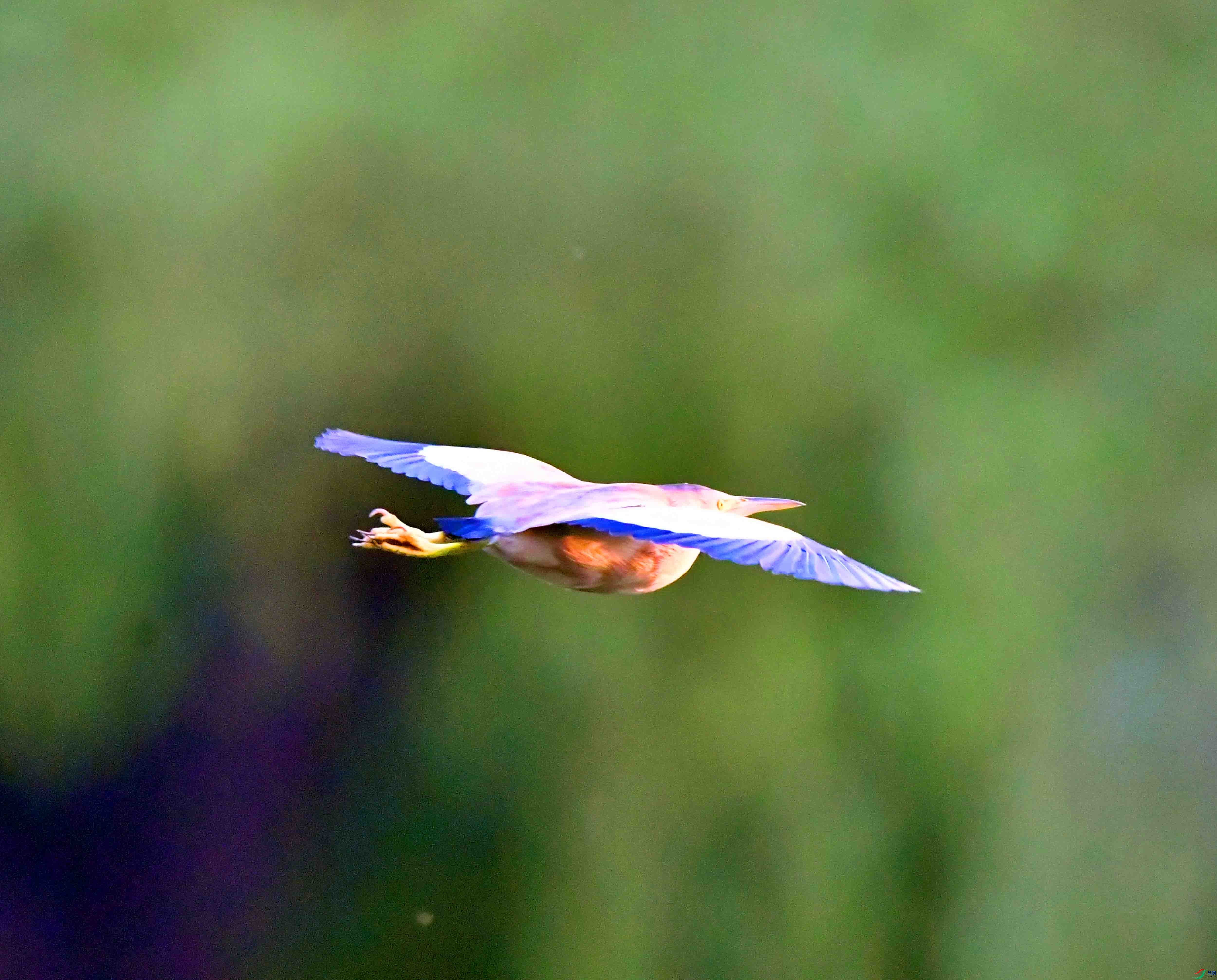 DSC_6541.JPG
