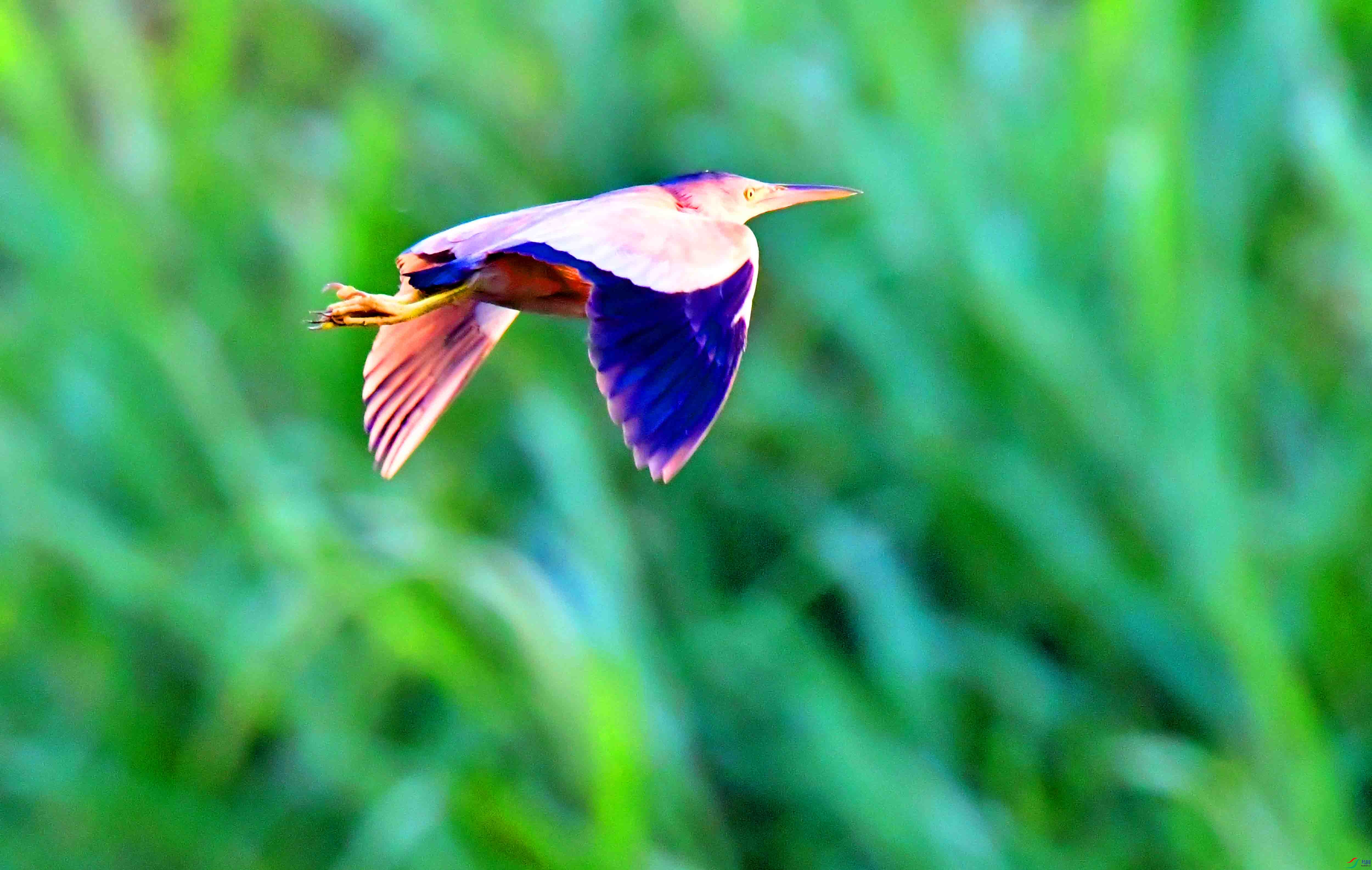 DSC_6540.JPG