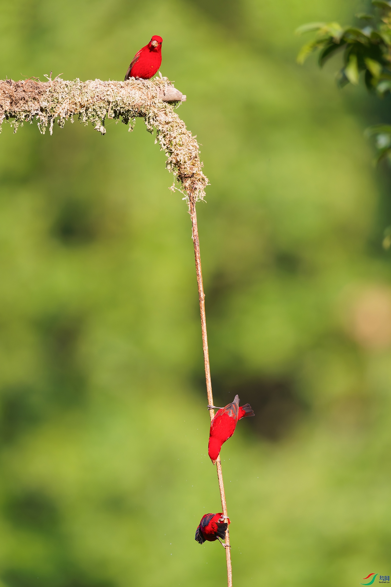 DSC_8302_DxO_DxO.jpga.jpg