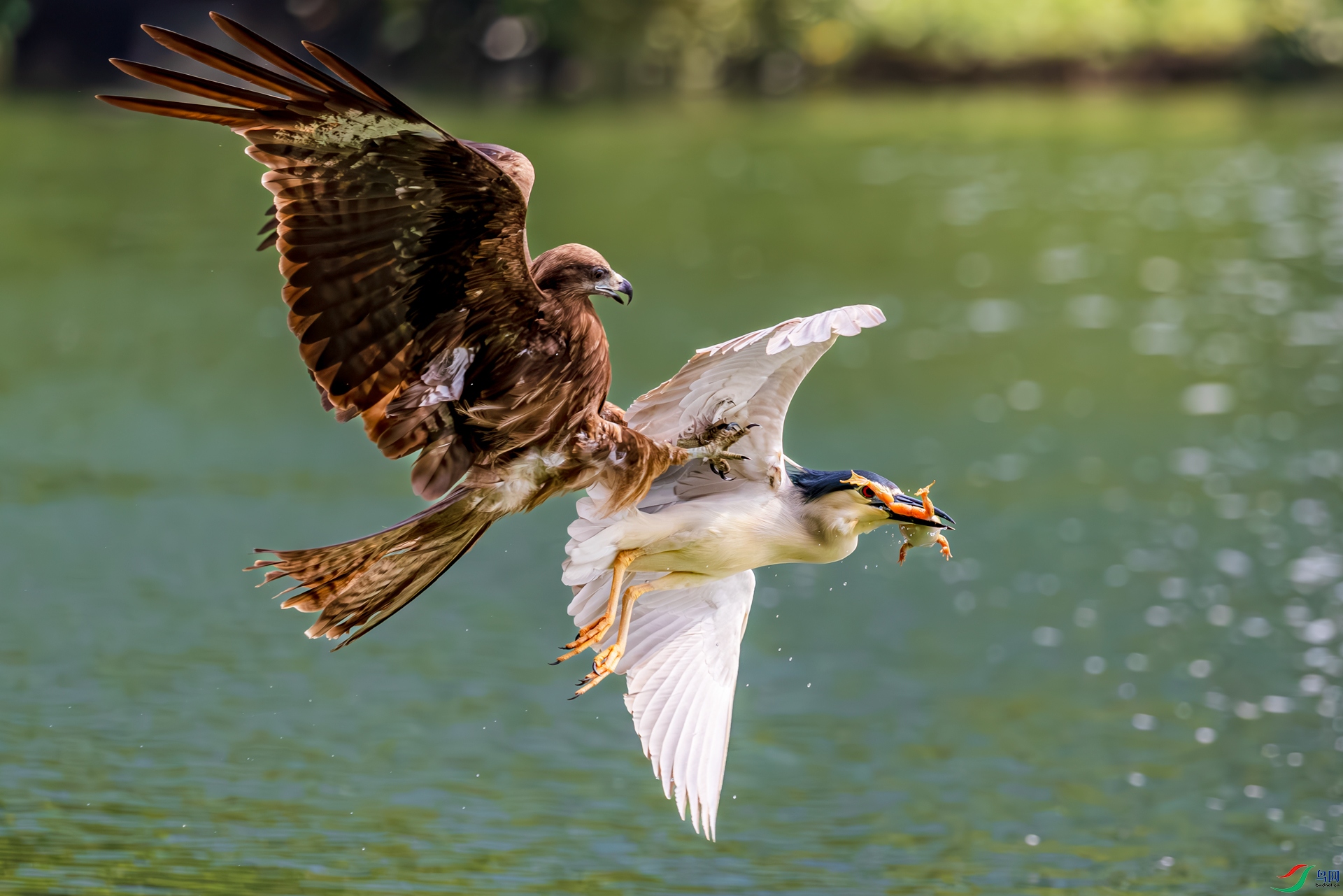 1A3A7423-����ǿ-NR-1.jpg