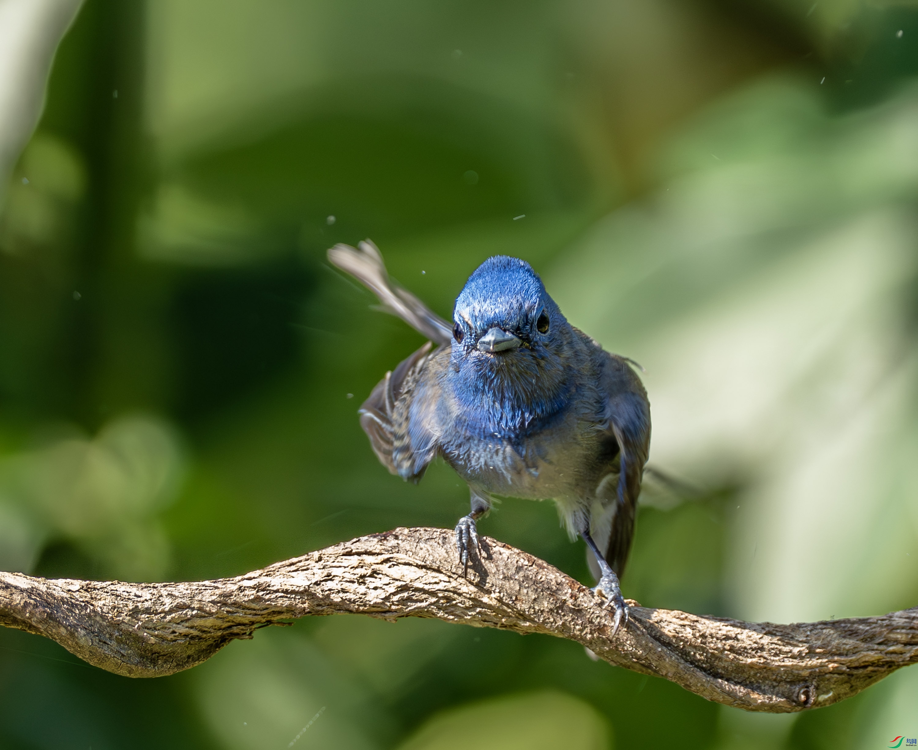 �������l-02-9.jpg
