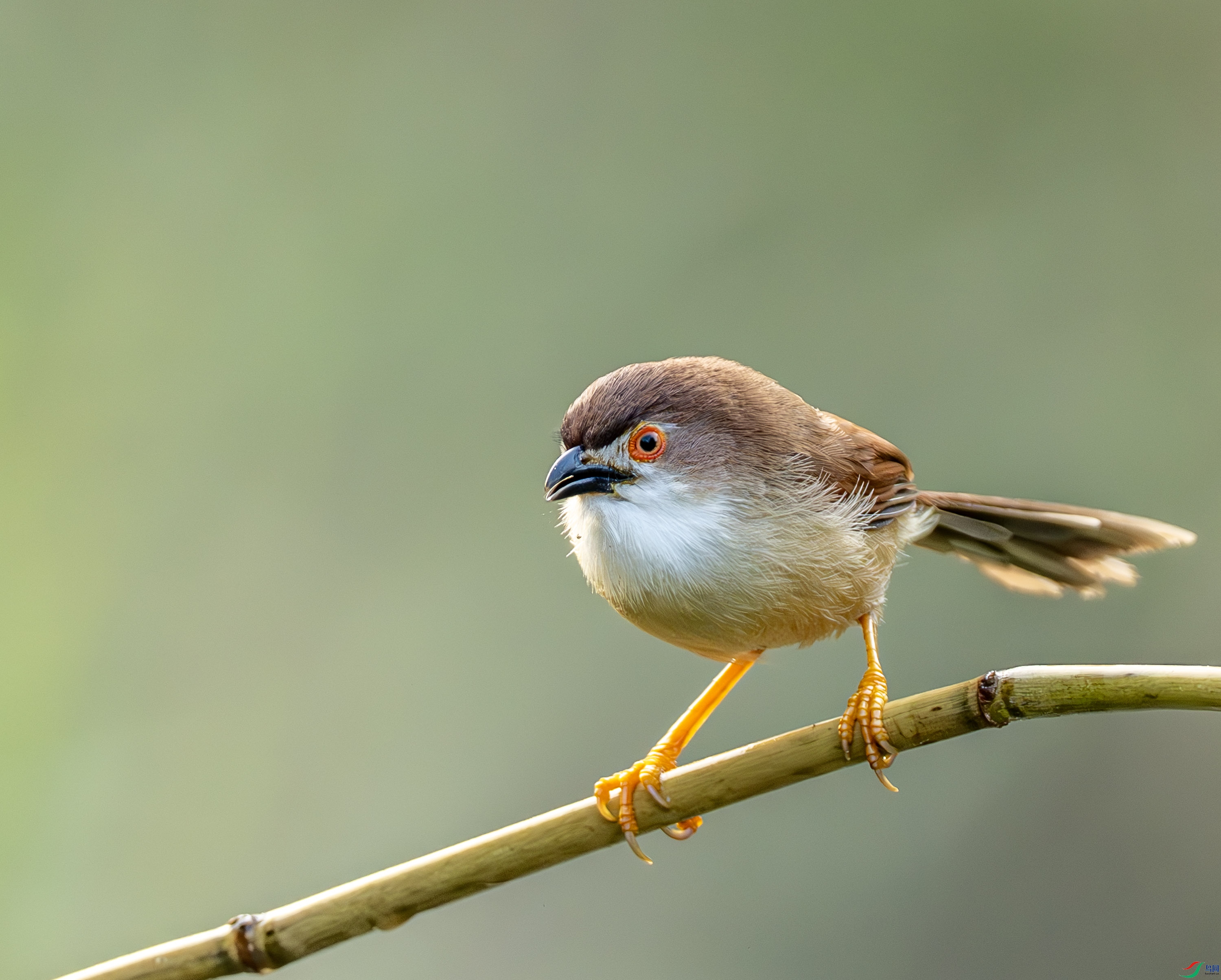 ������ȸ-01-14.jpg