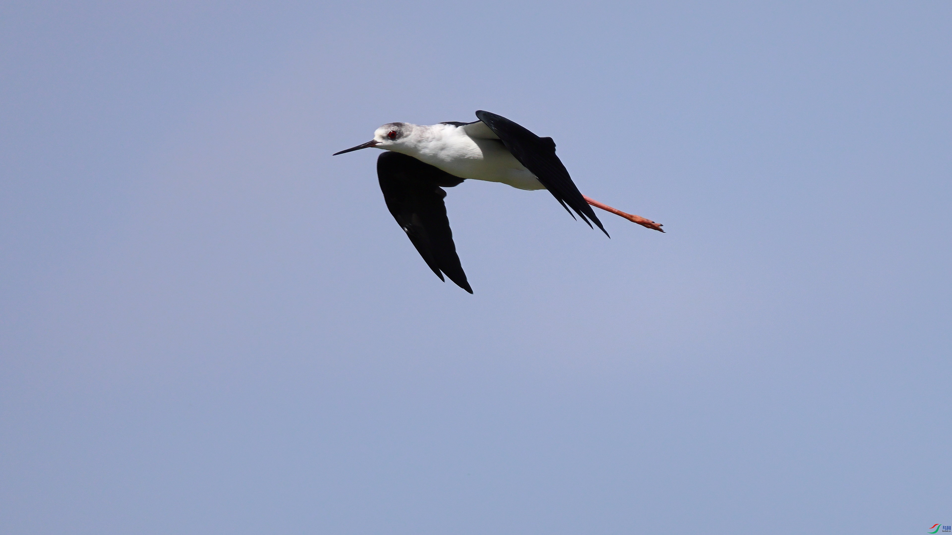 IMG_6425.JPG