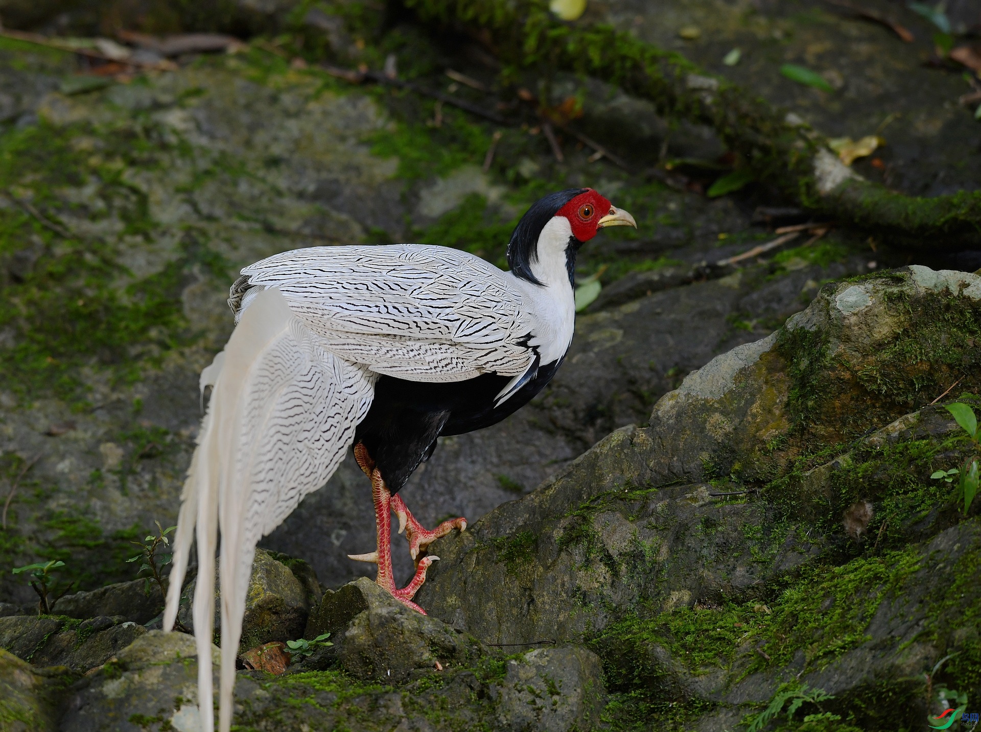 DSC_3165.jpg