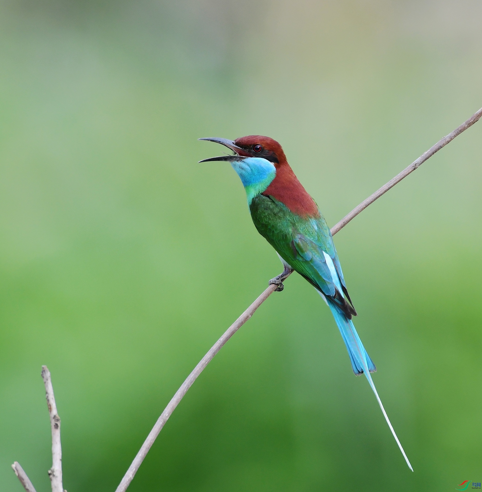DSC_1631.jpg
