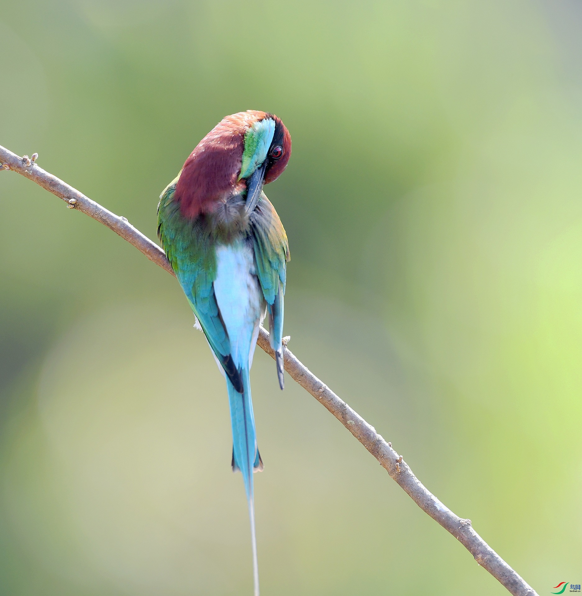 DSC_1063.jpg