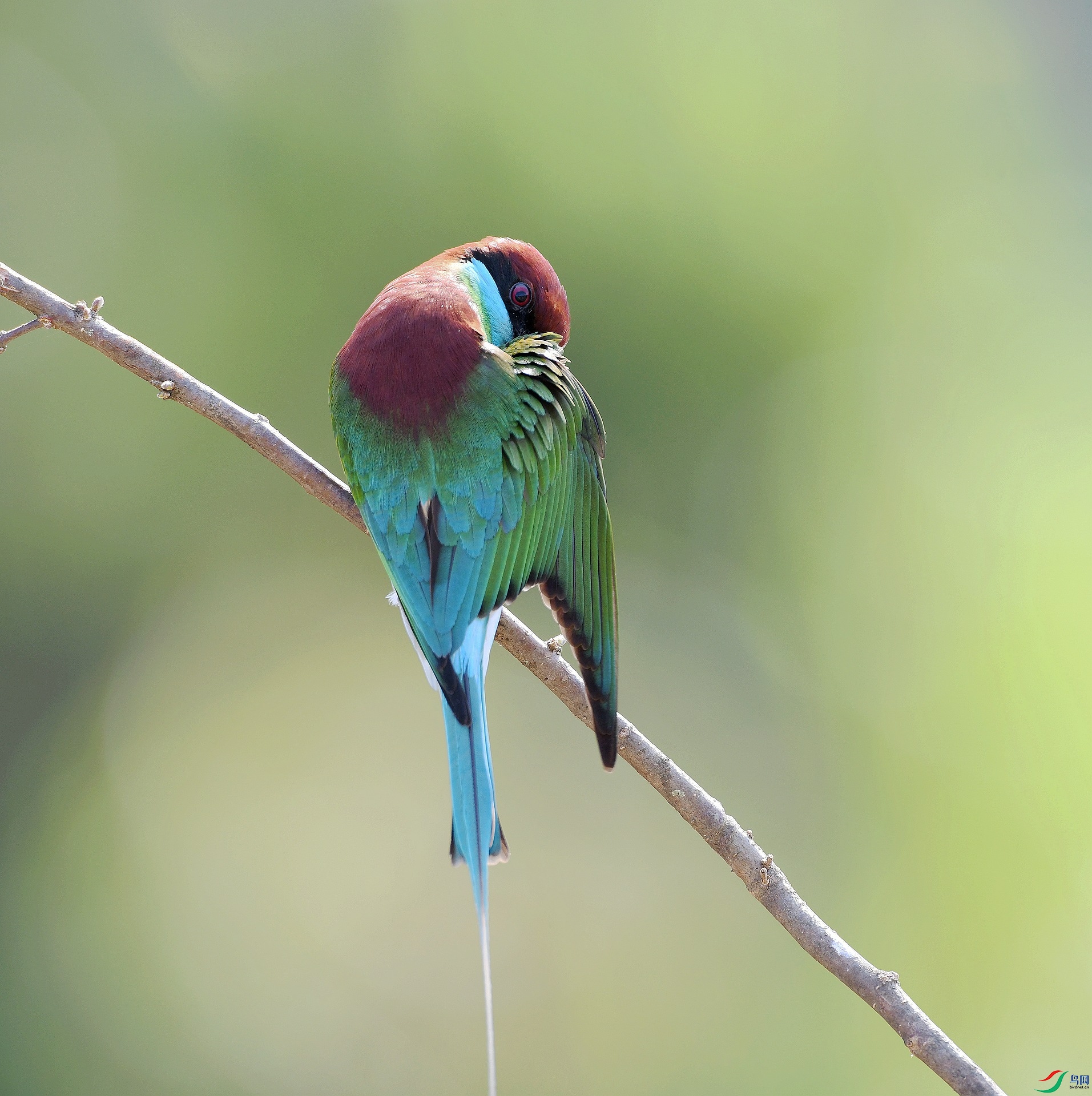 DSC_1043.jpg