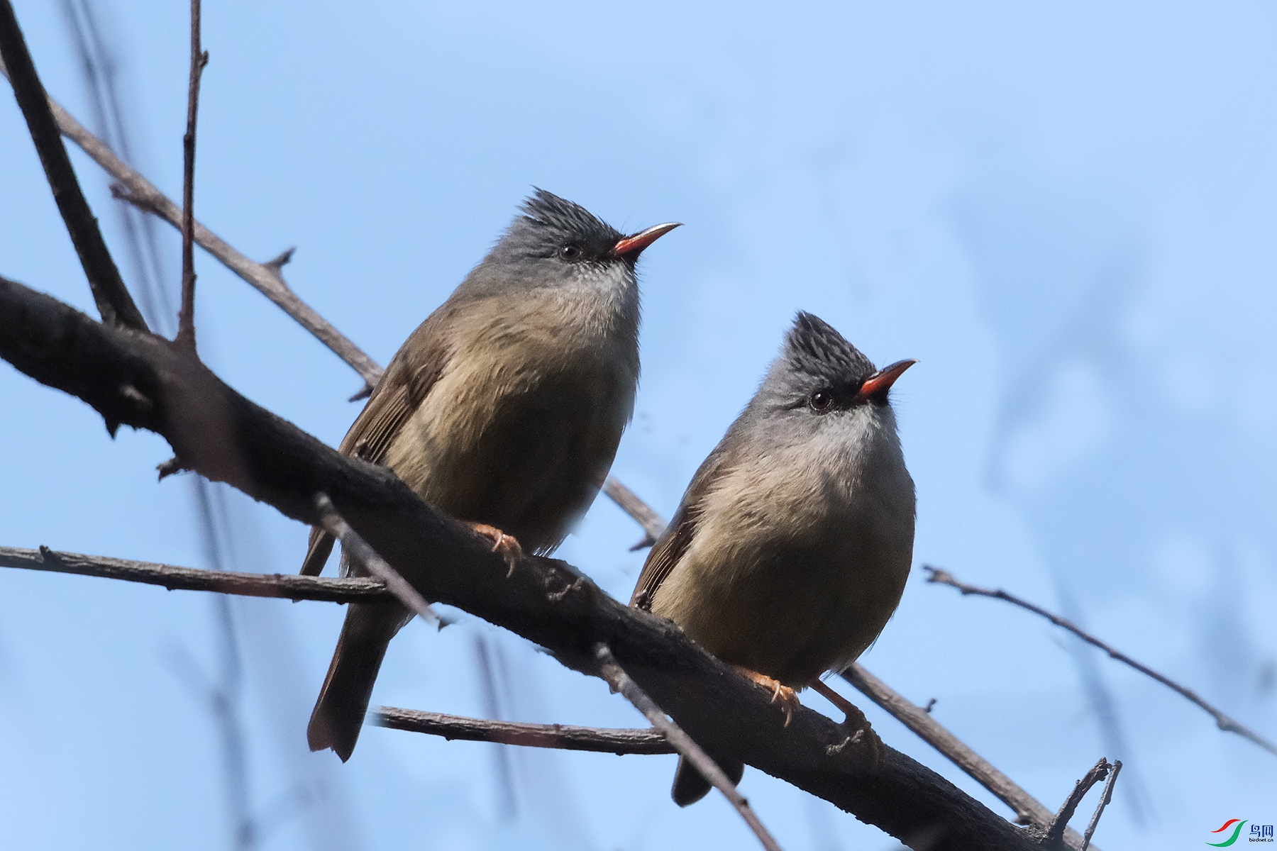 DSCF5587.jpg