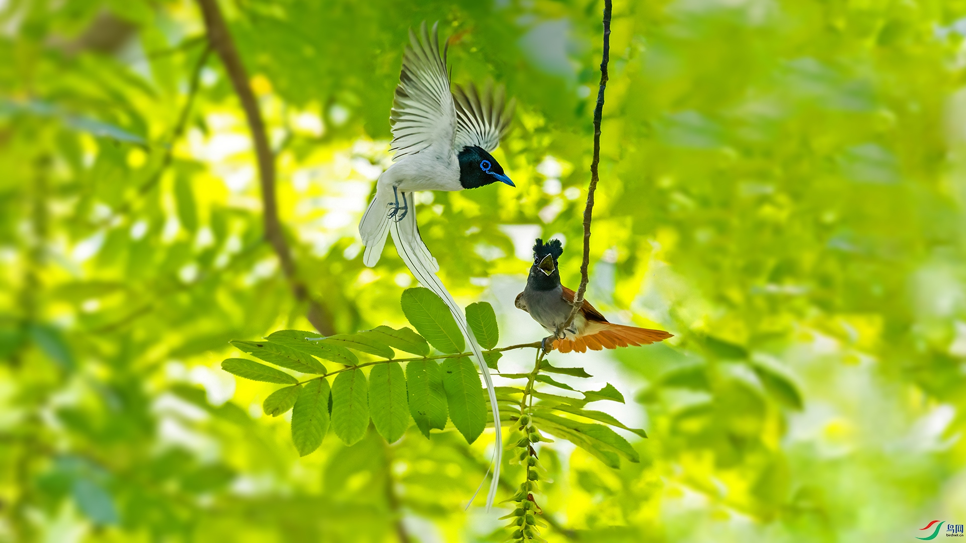 �����ٴ�0419˫緺���.jpg