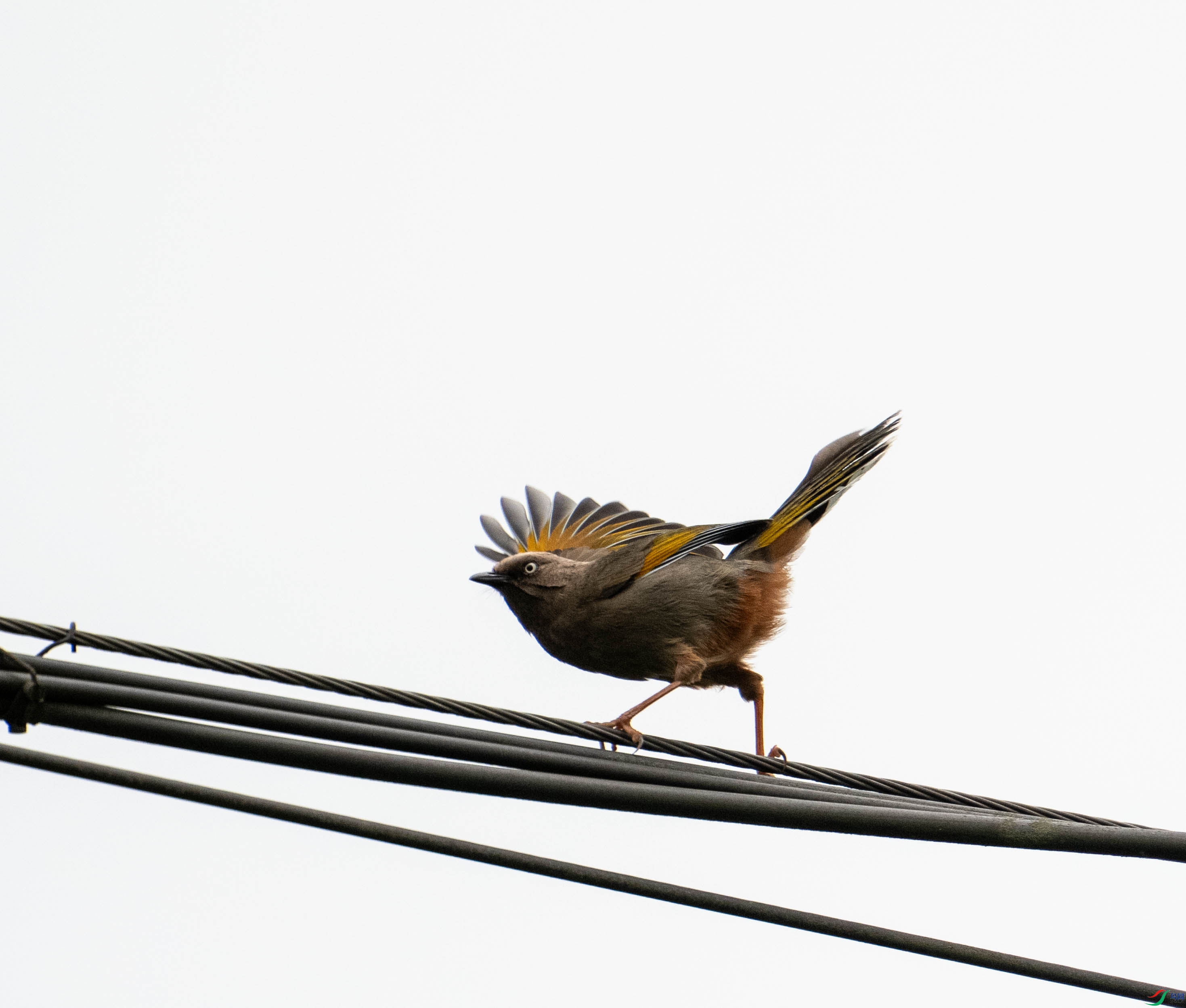 DSC00172.jpg