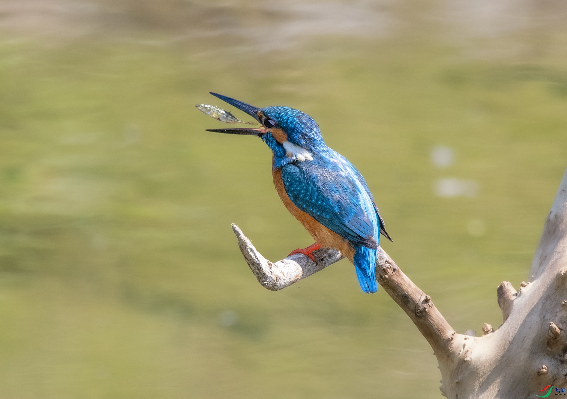 DSC_1874_��ͼ�� ����.jpg