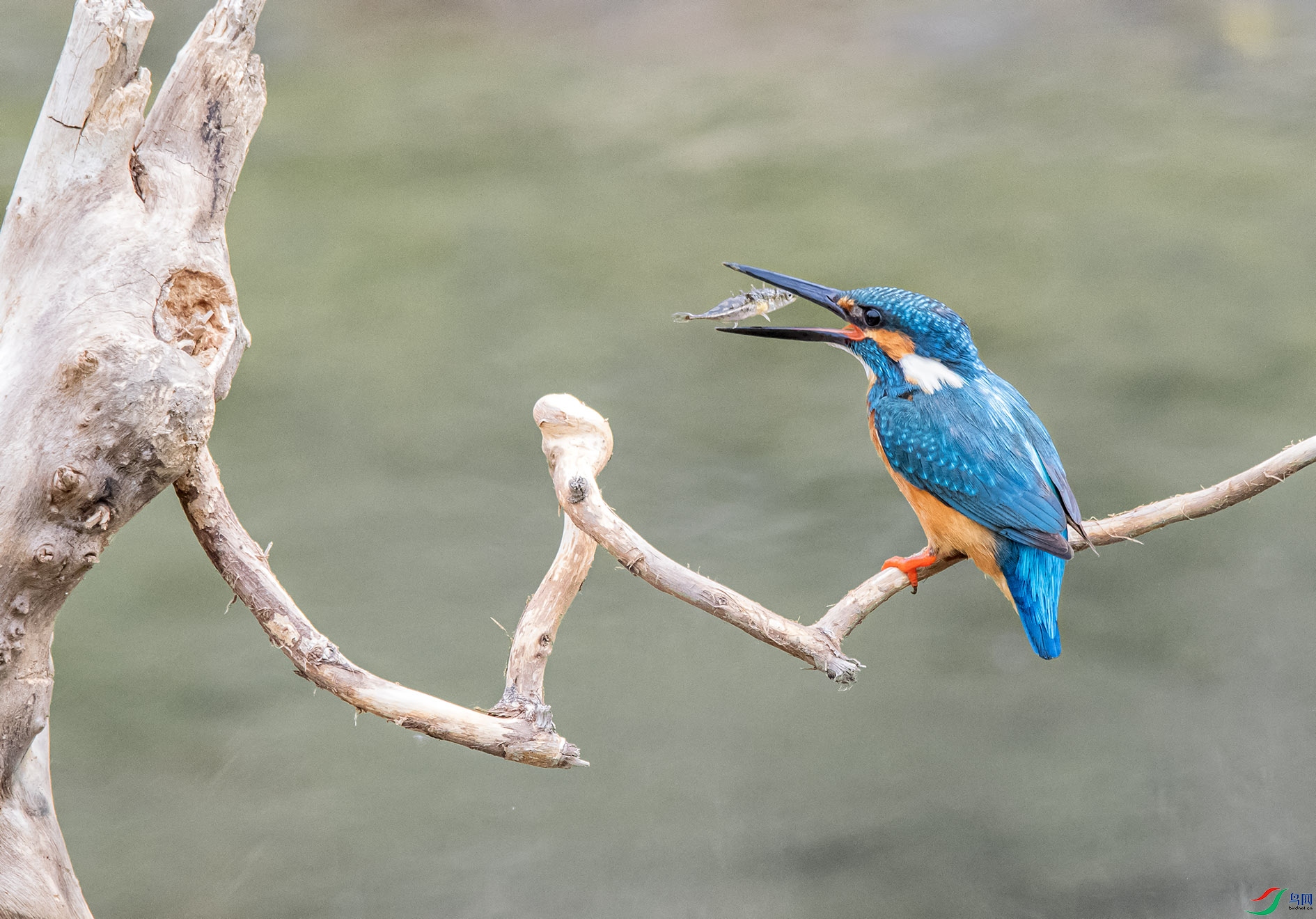 DSC_6862_��ͼ�� ����.jpg