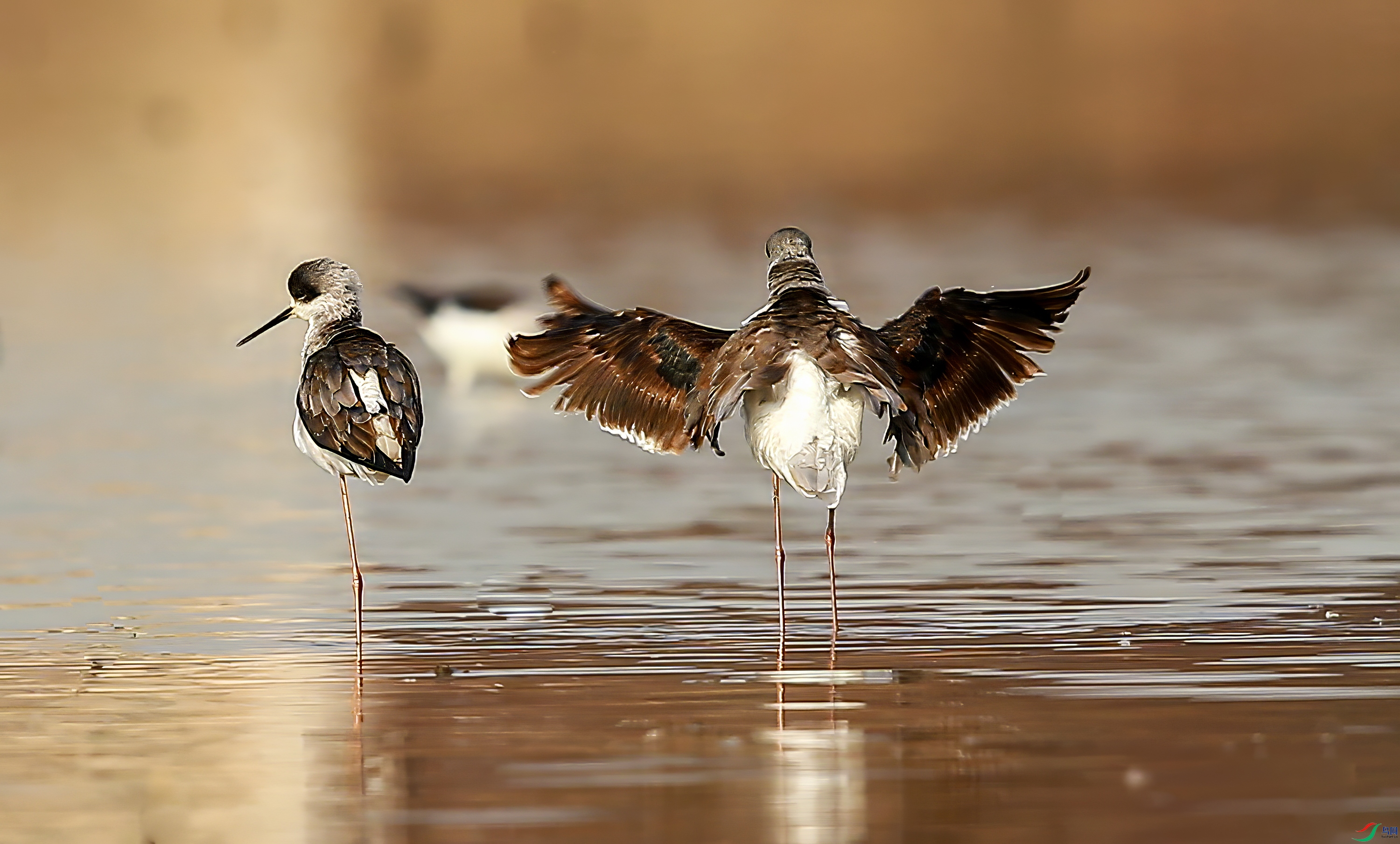 AY8Q4398.jpg