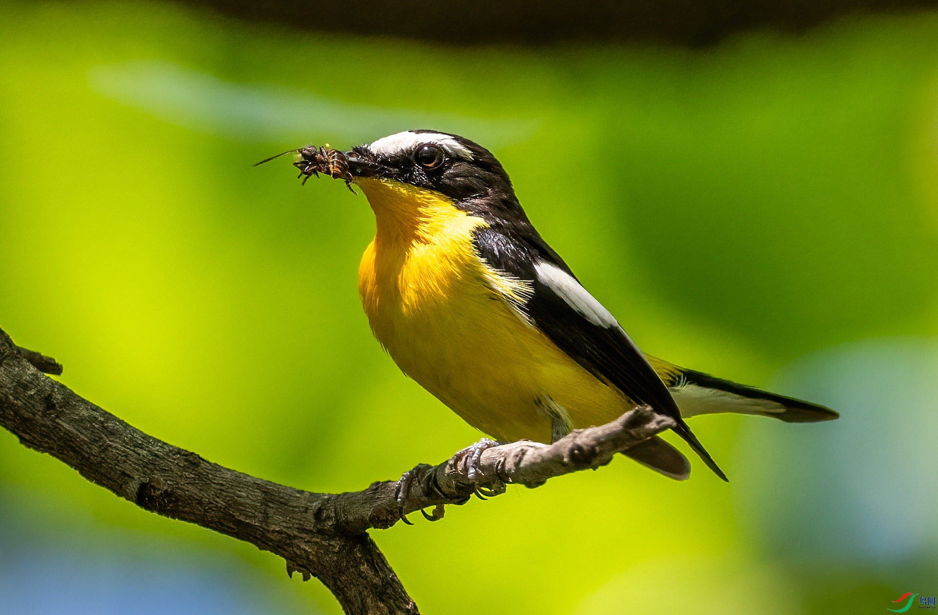 _DSC9762-.jpg