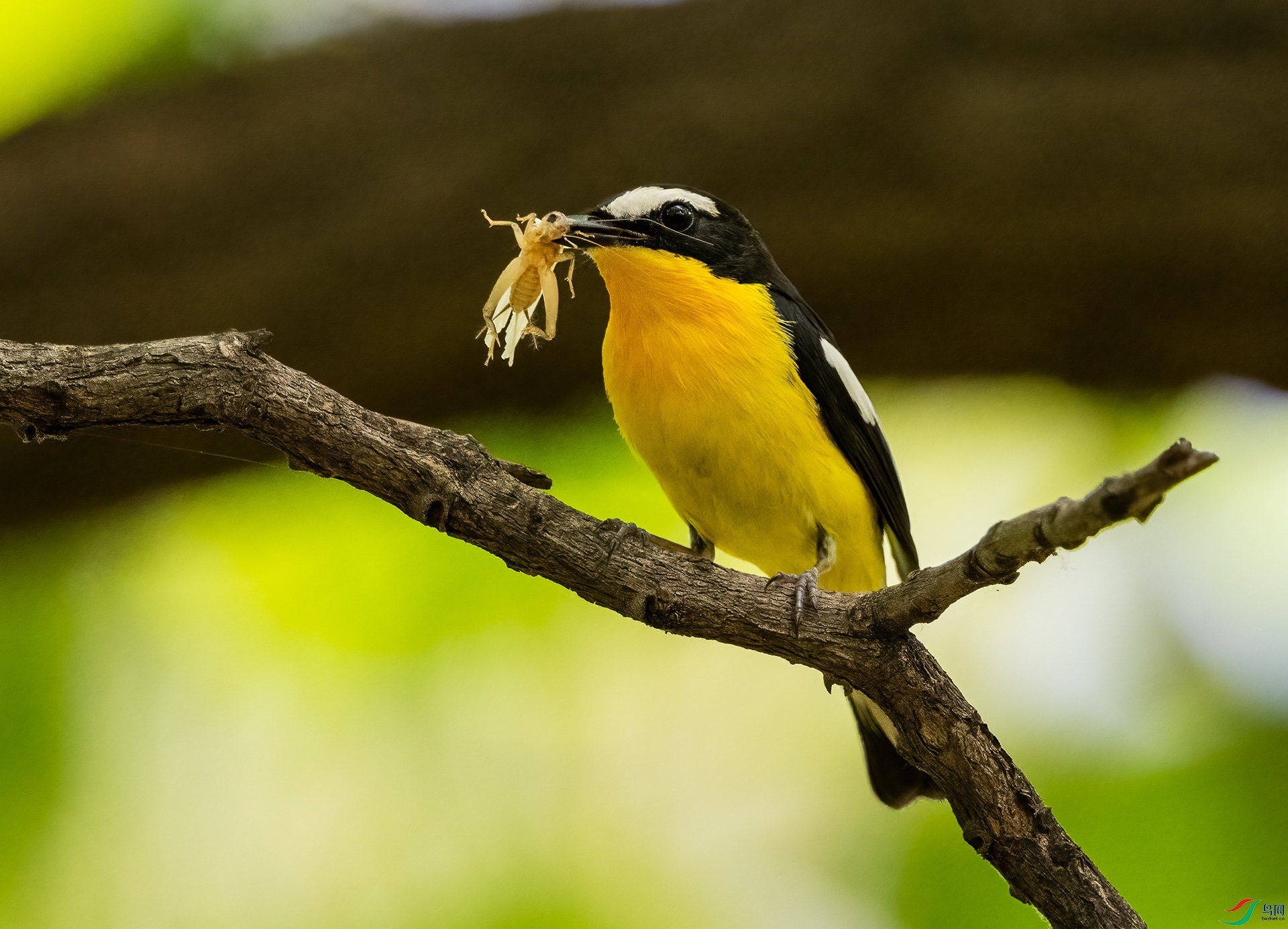 _DSC5602-.jpg