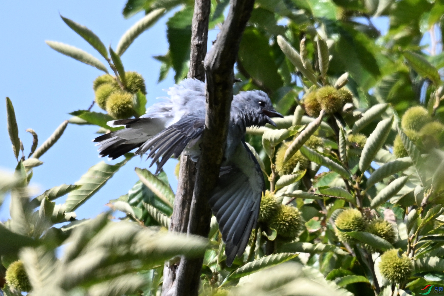 DSC_4578.JPG