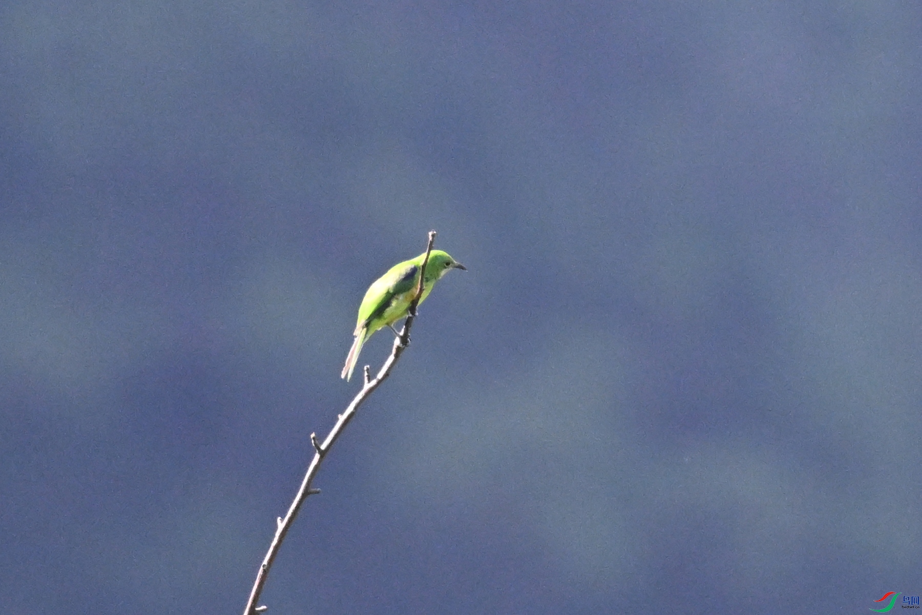 DSC_4522.JPG