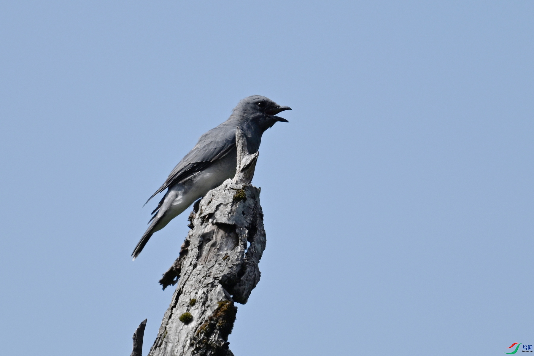 DSC_4565.JPG
