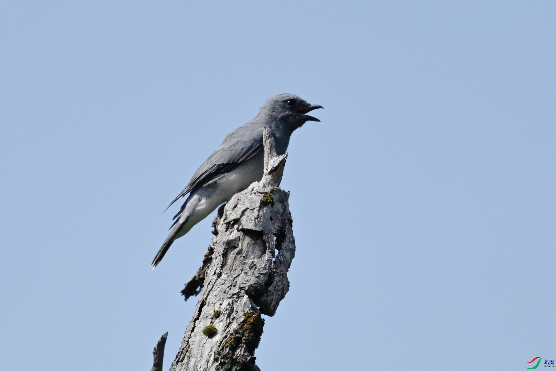 DSC_4567.JPG