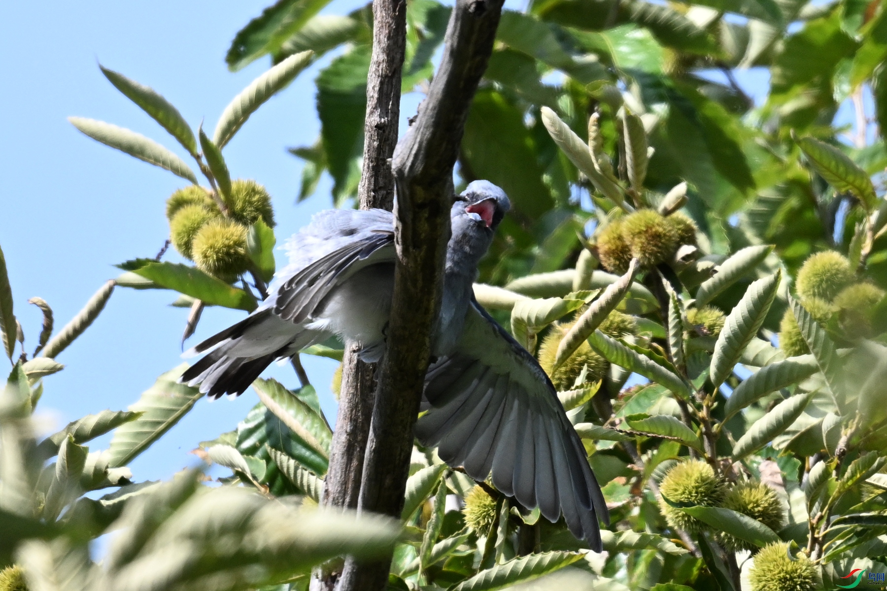 DSC_4576.JPG