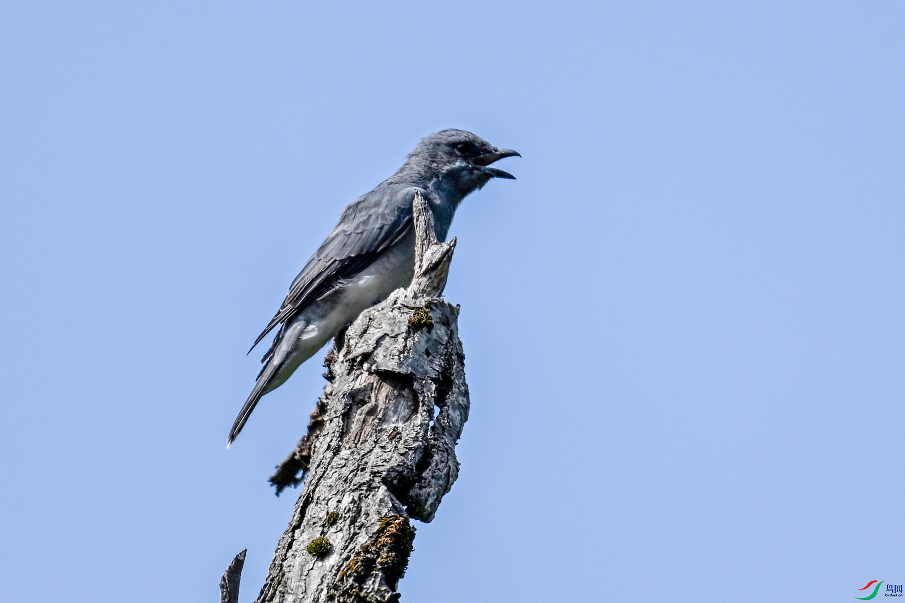 DSC_4568.JPG