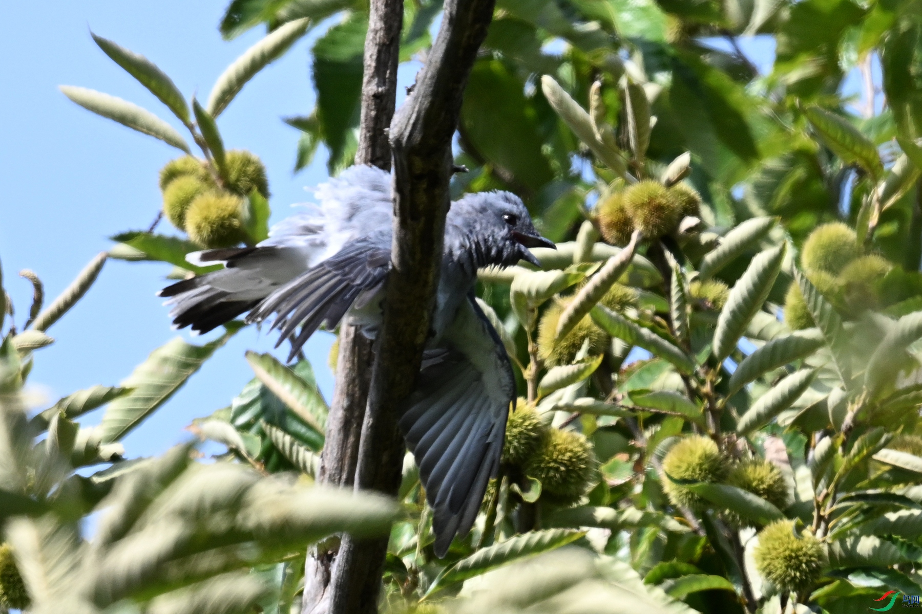 DSC_4580.JPG