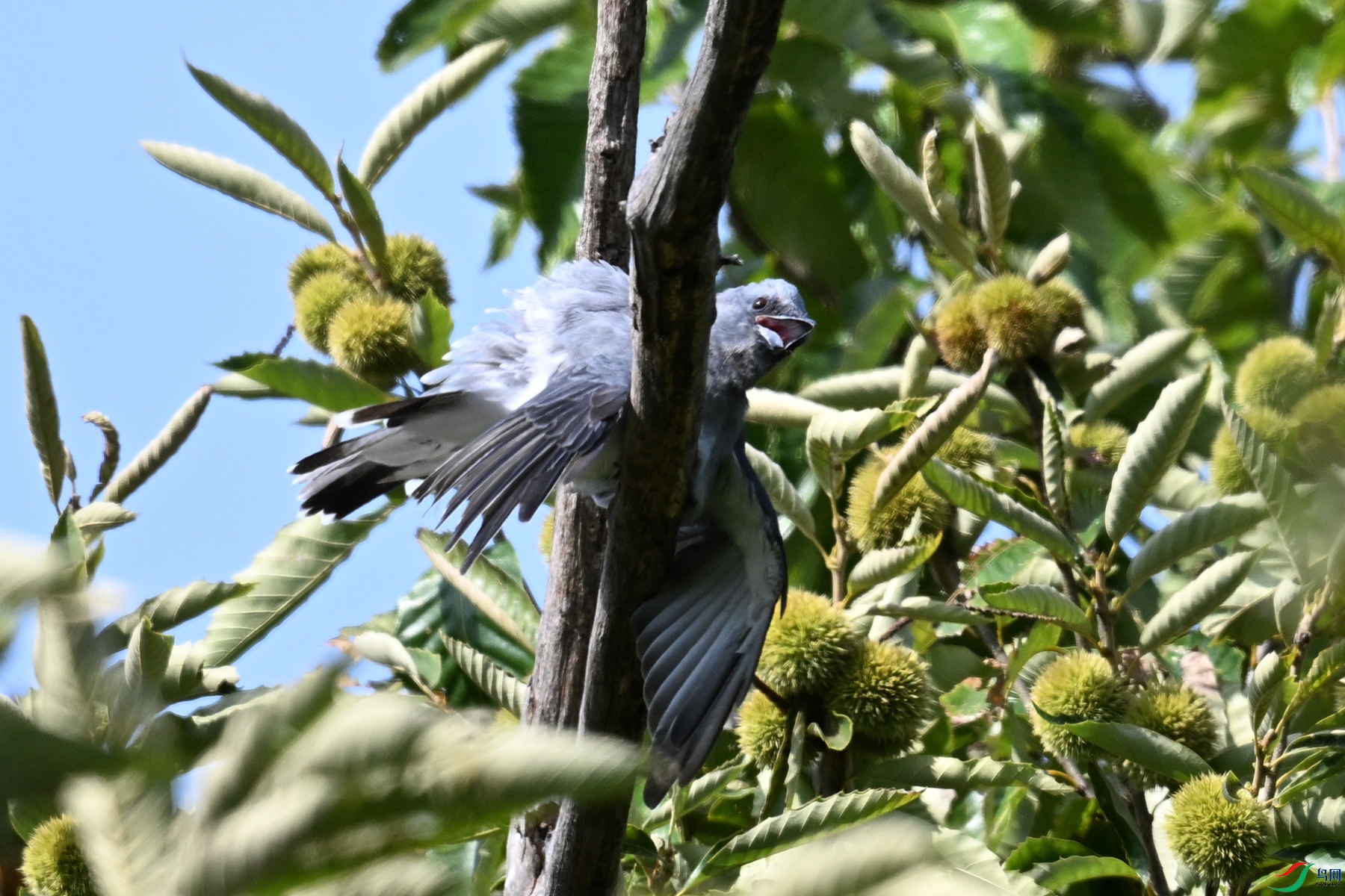 DSC_4584.JPG