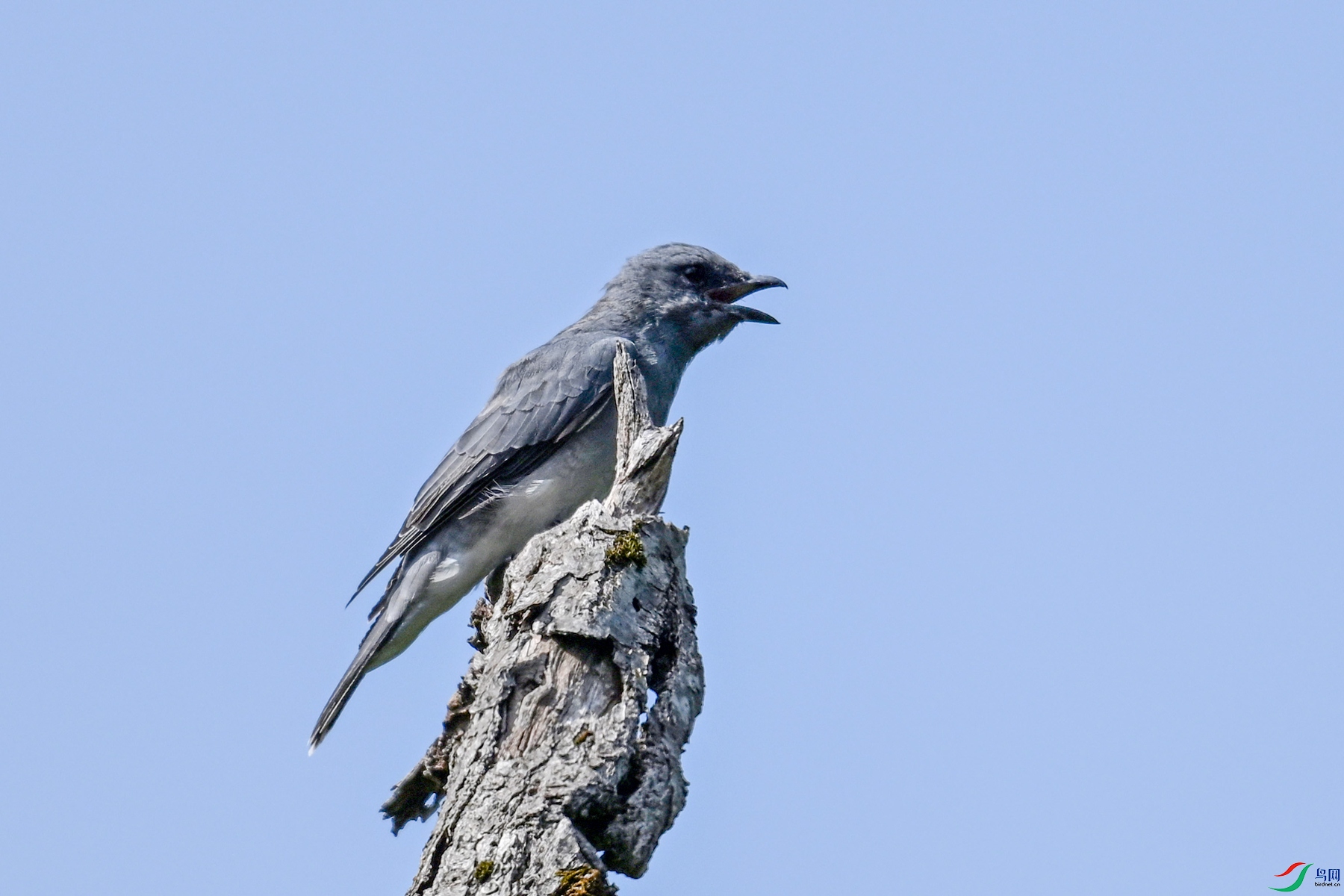 DSC_4569.JPG