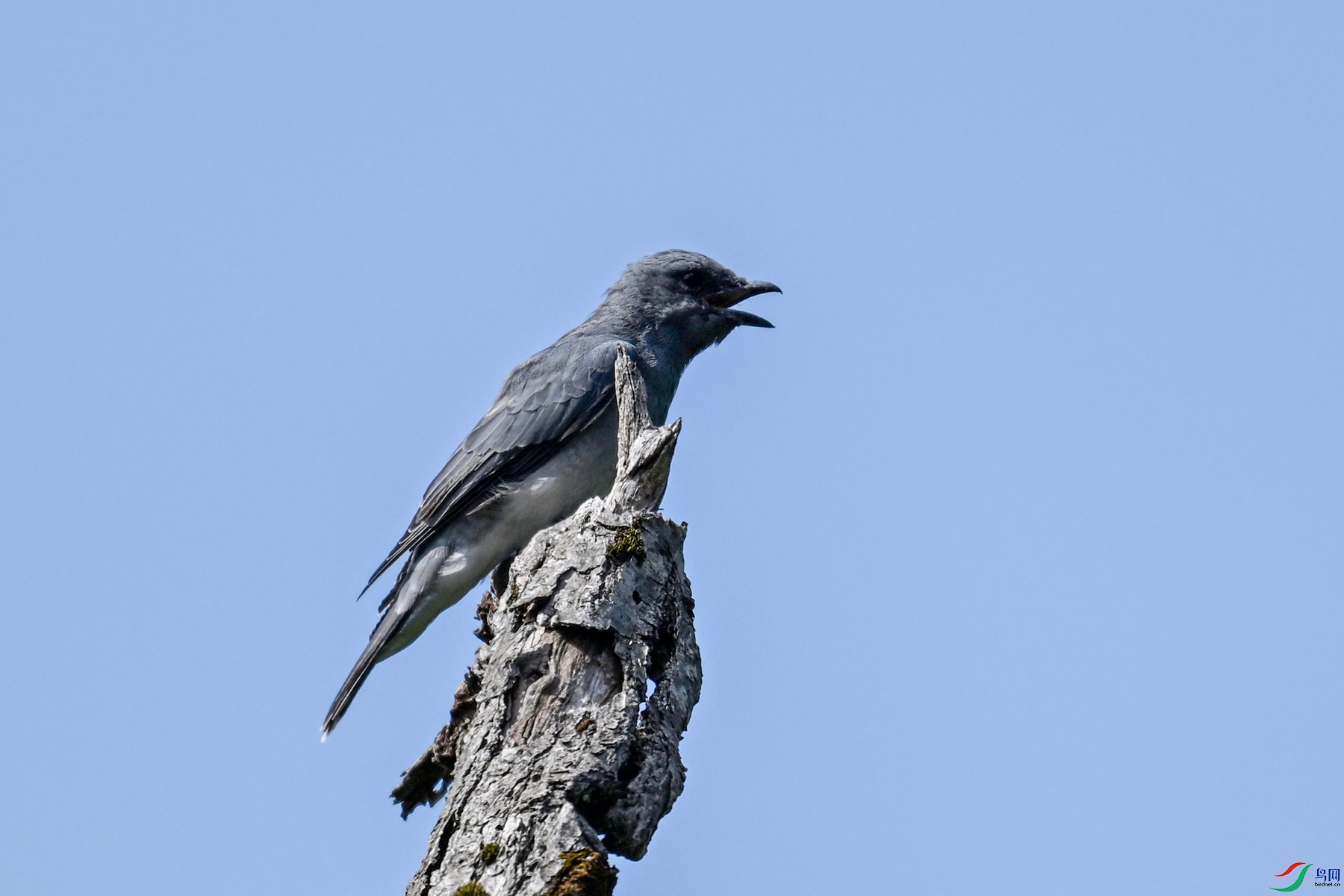 DSC_4570.JPG