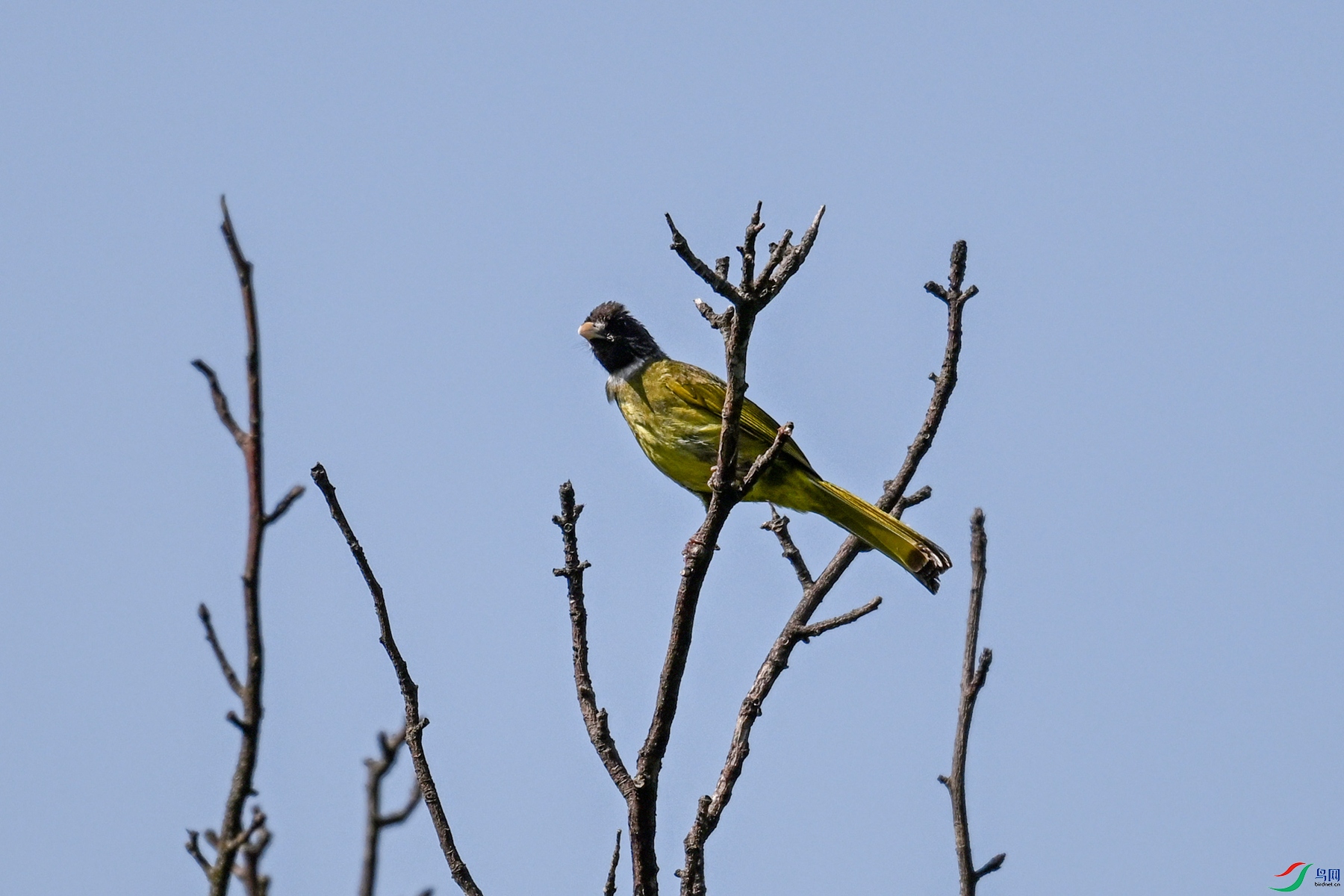 DSC_4538.JPG