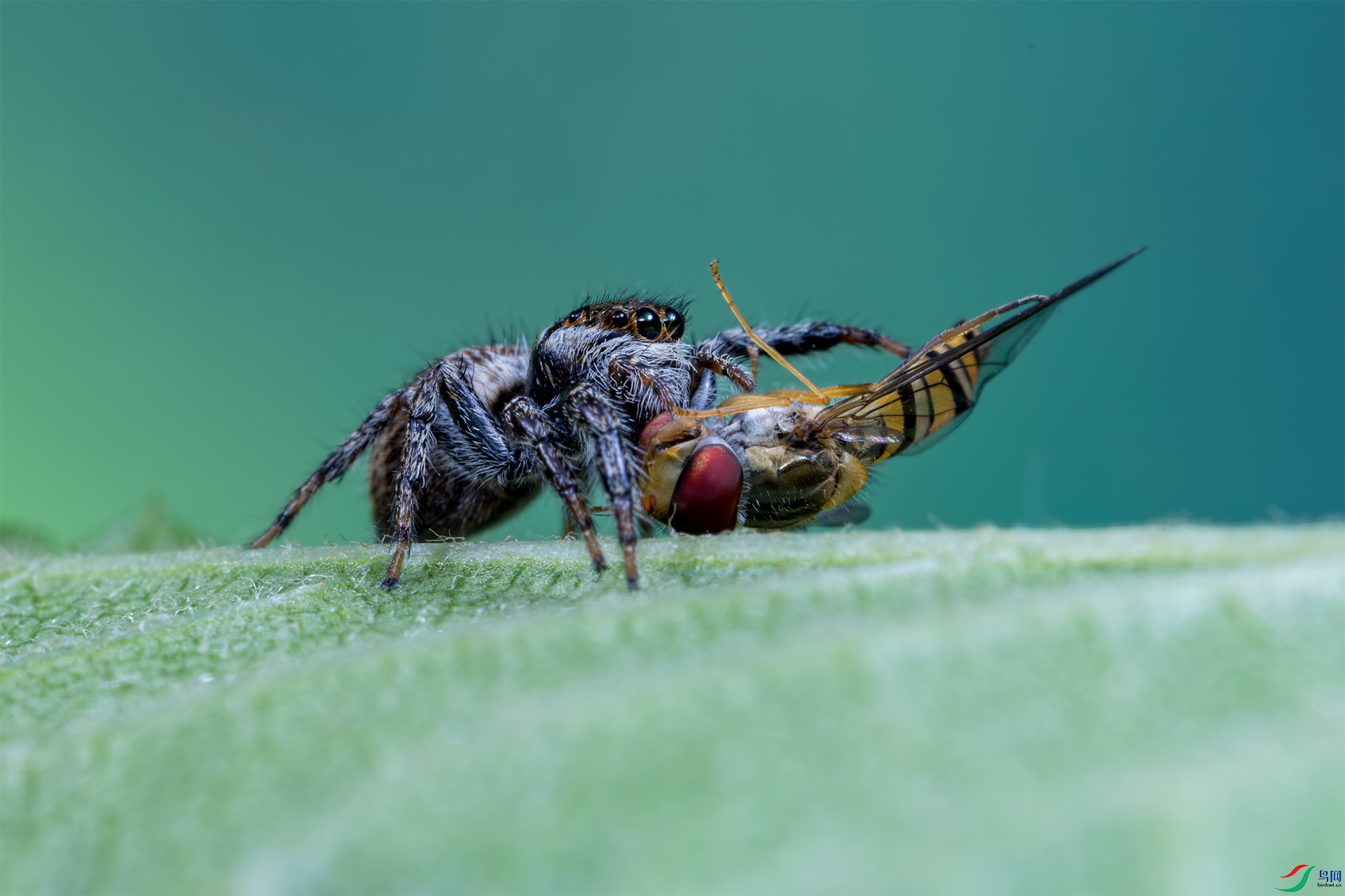 4Z6A0319.jpg