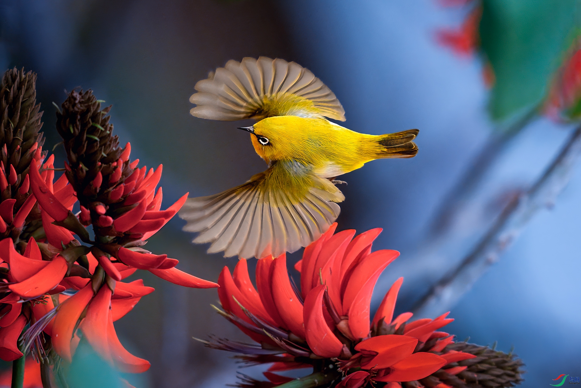 0_DSC3674-topaz-rawdenoise000.jpg
