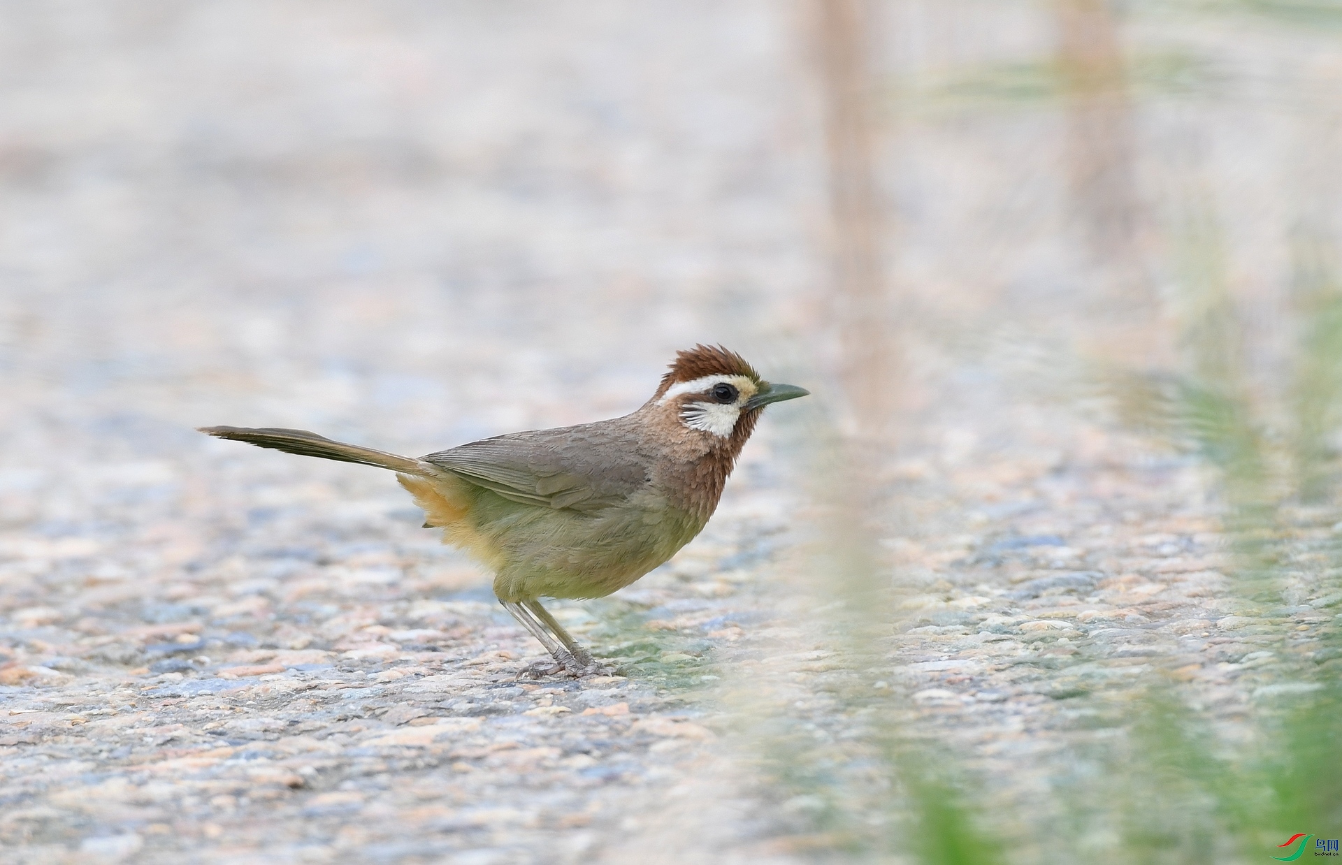 DSC_4114.jpg