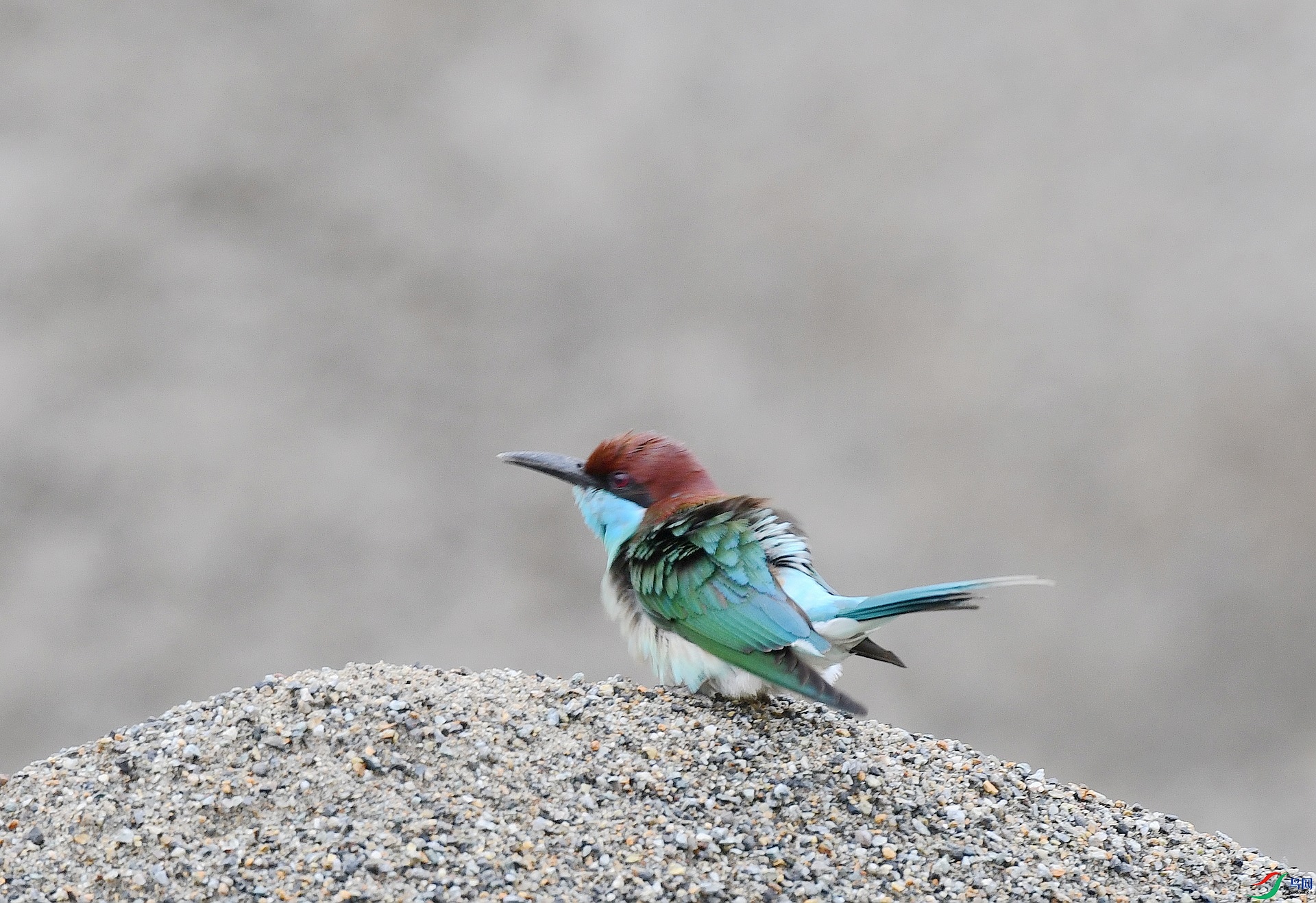 DSC_3920.jpg