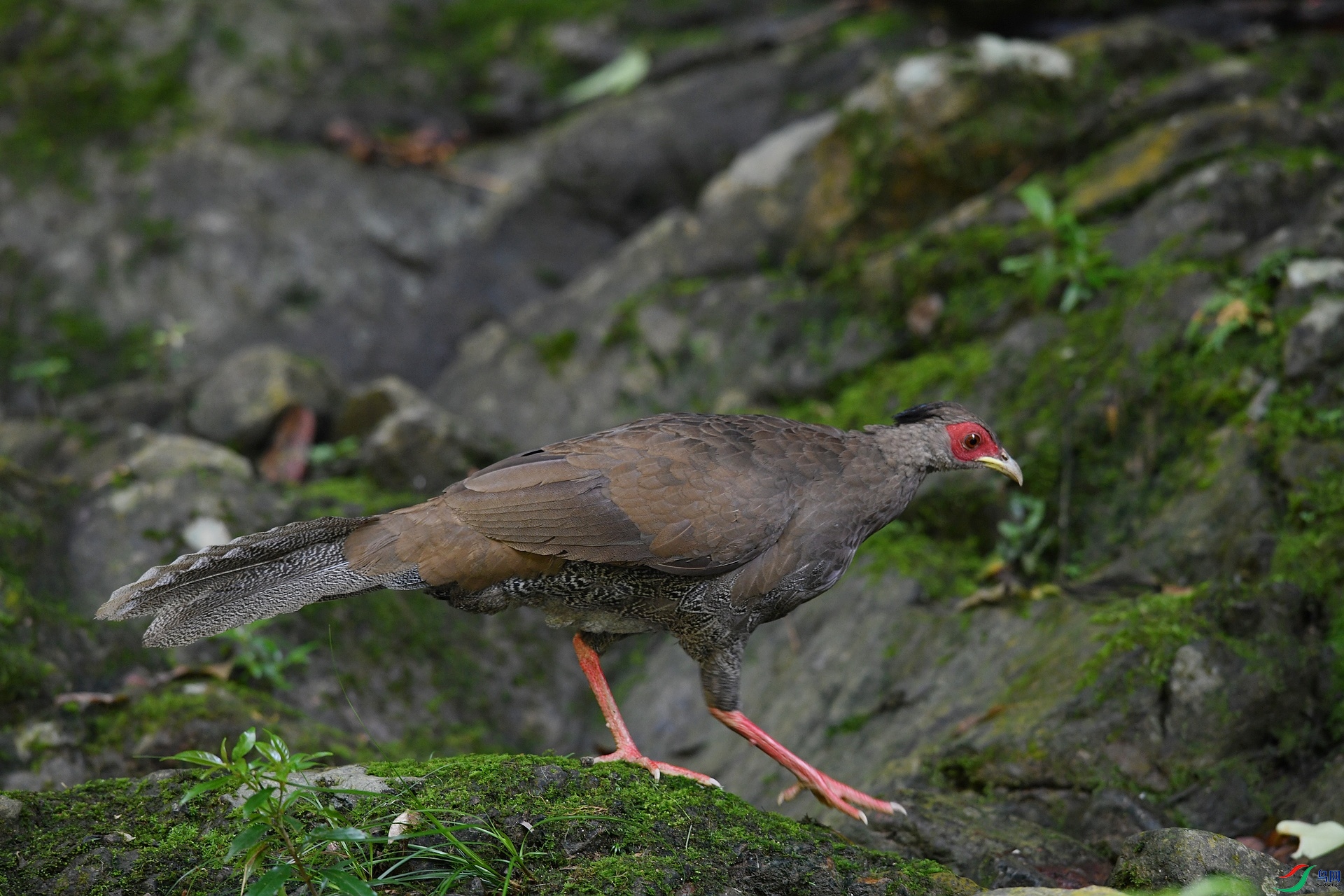 DSC_3098.jpg