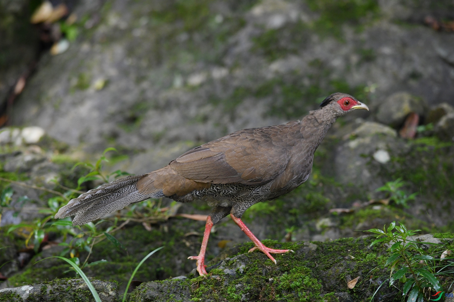 DSC_3095.jpg