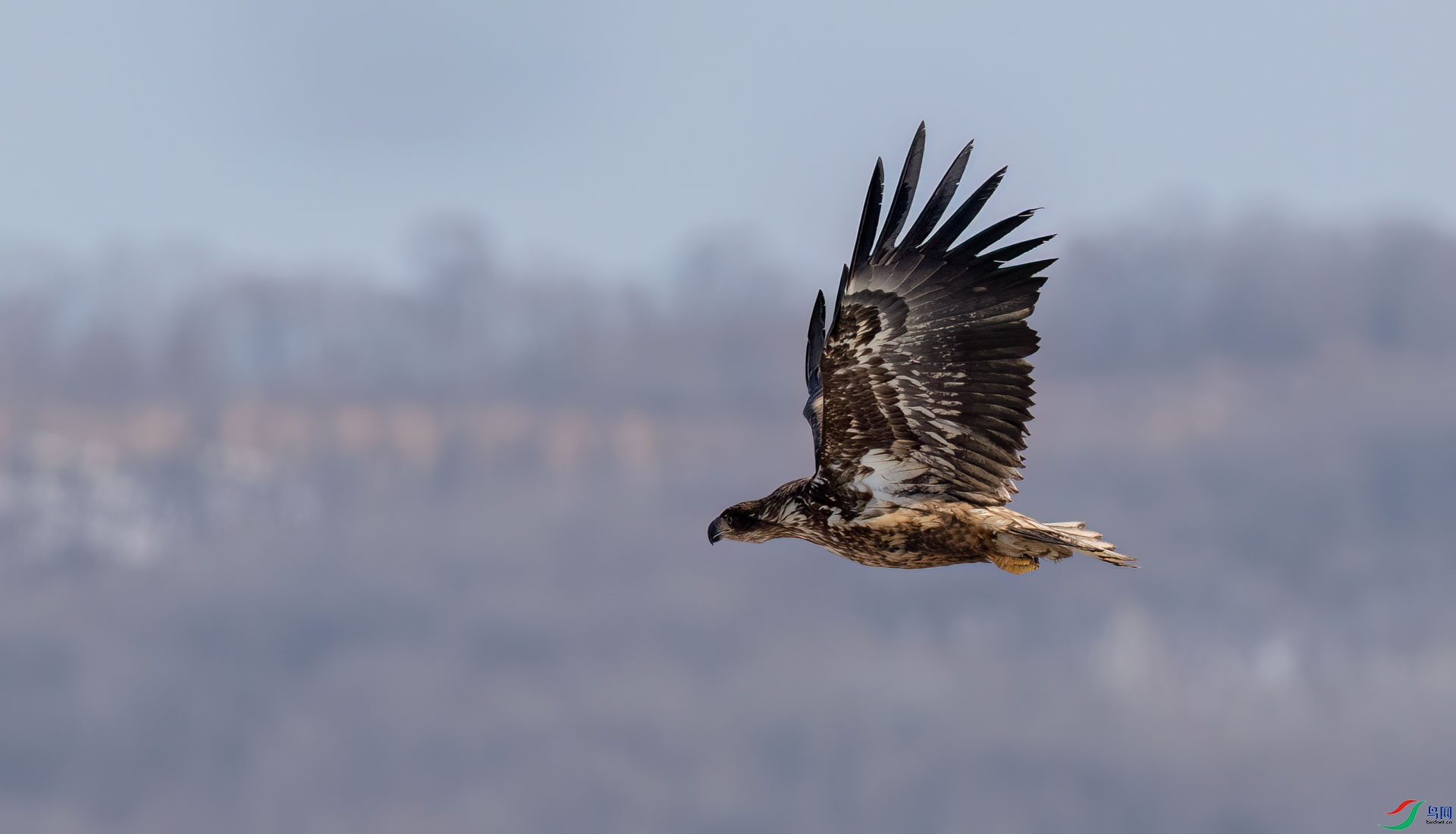 0L7A7781.jpg